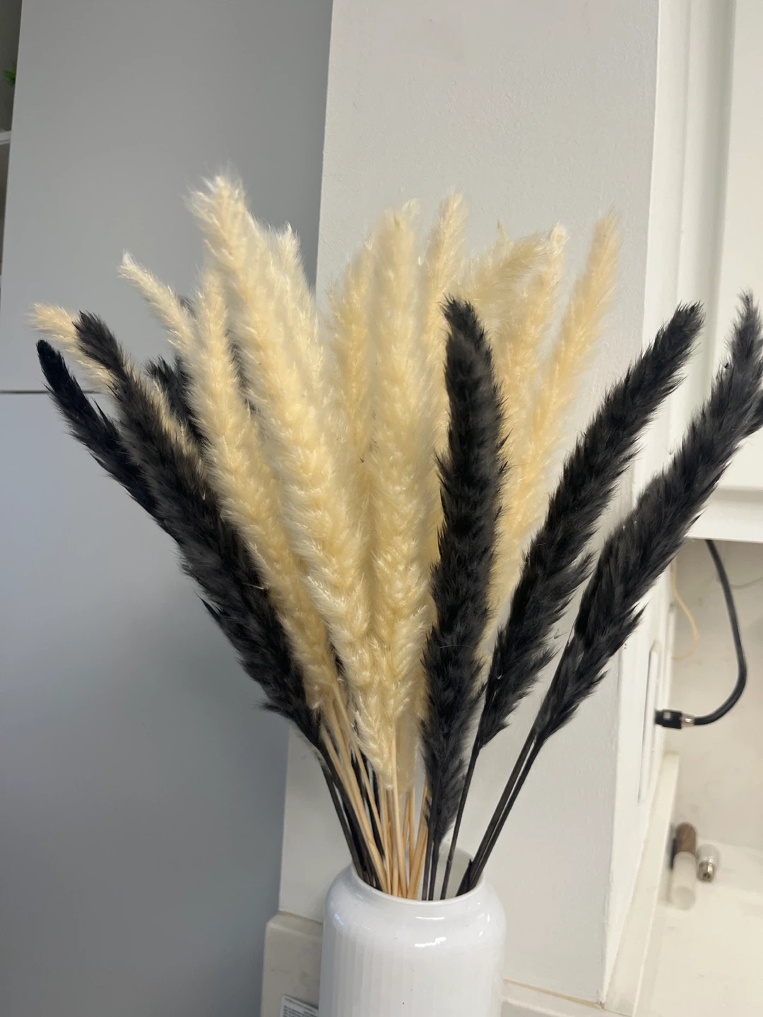 Pampas Grass Stems feather set NEW