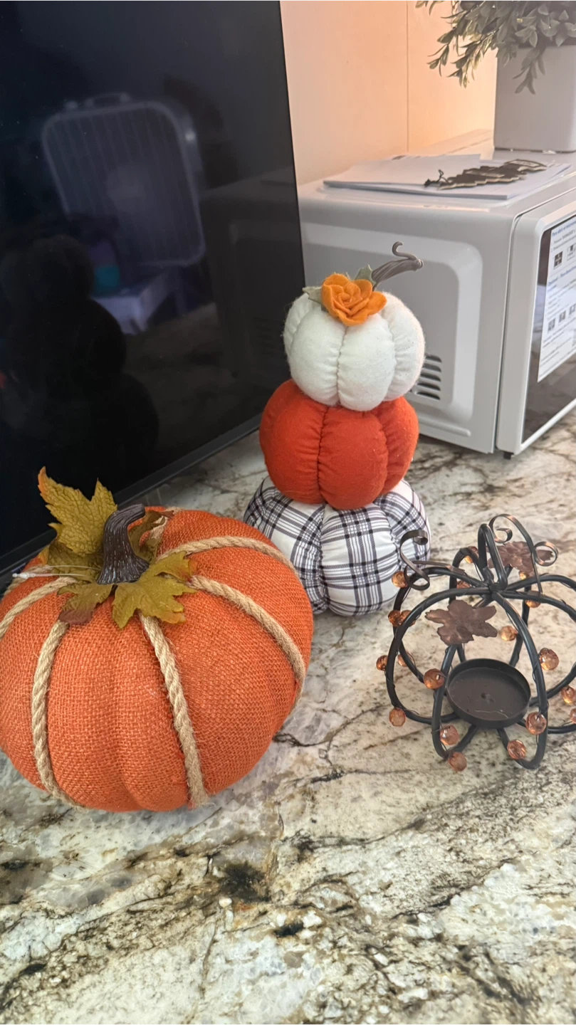 Fabric Decorative Pumpkins Set ask $10