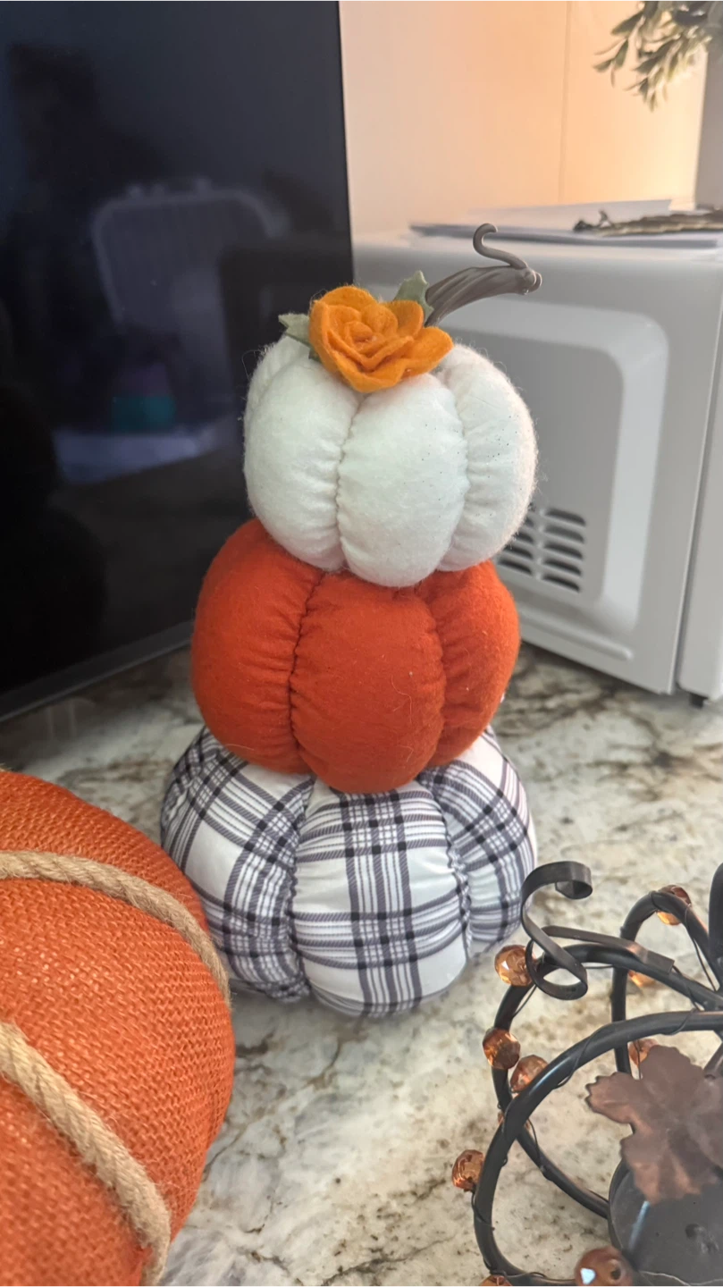 Fabric Decorative Pumpkins Set ask $10 - photo 3