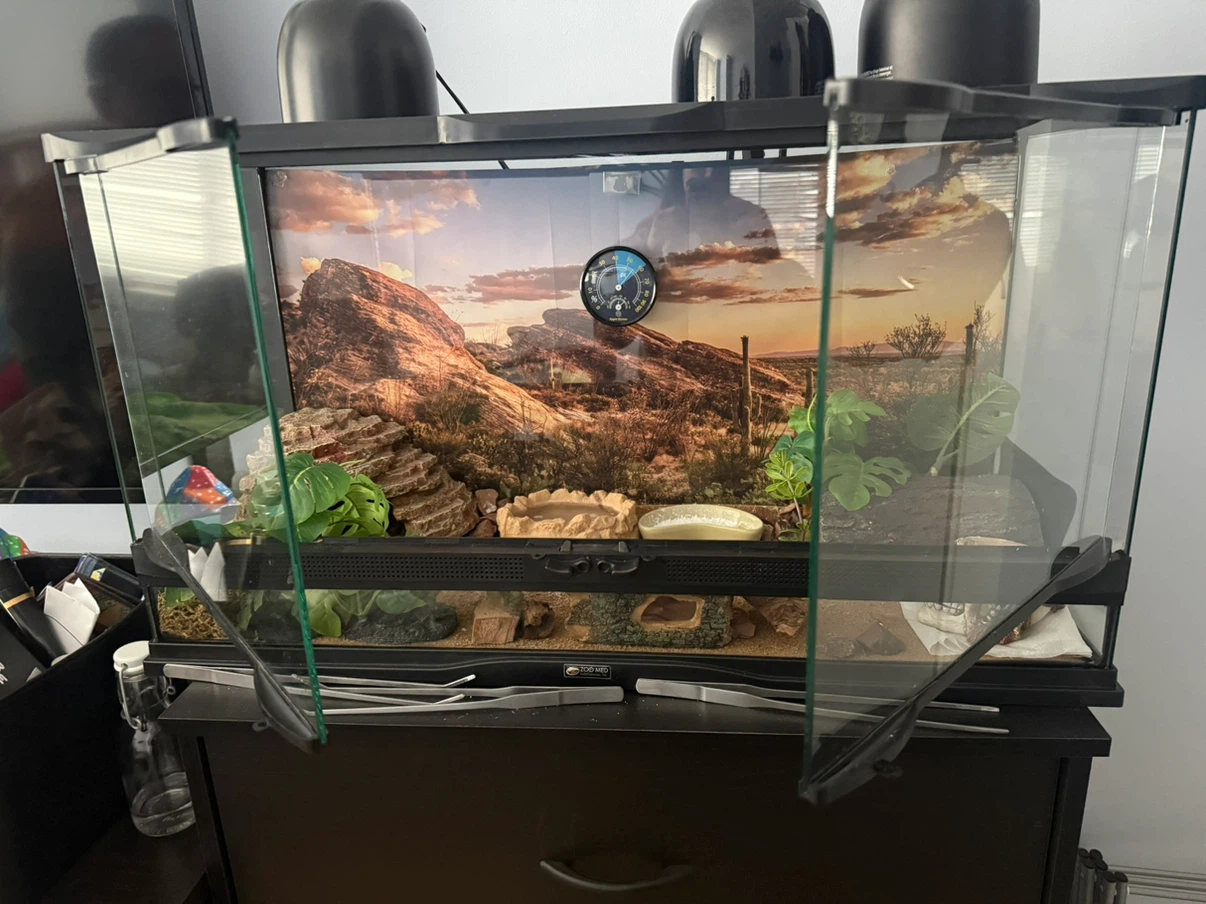Terrarium Enclosure