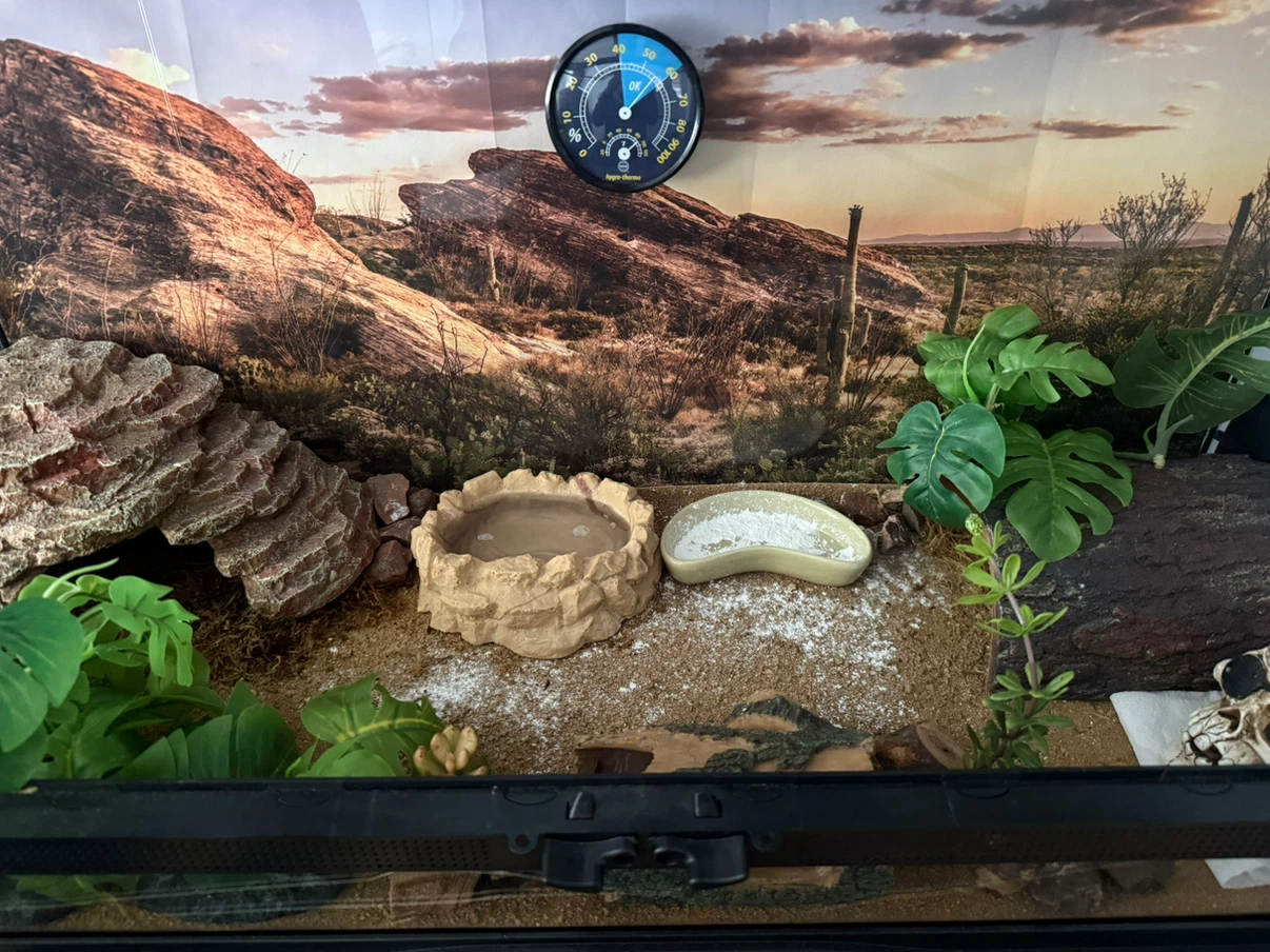 Terrarium Enclosure - photo 2