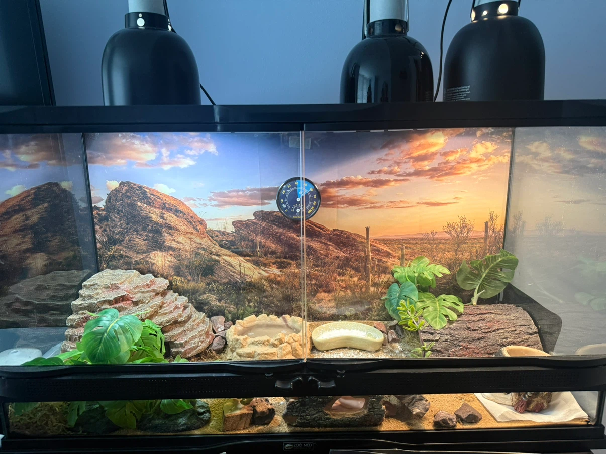 Terrarium Enclosure - photo 3
