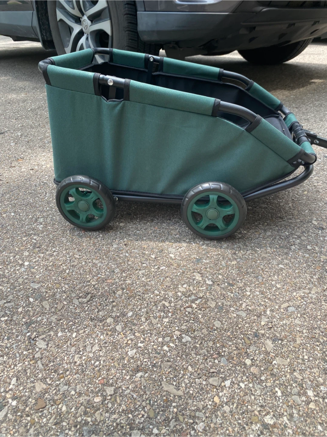 Dogs Green Wagon with Handle