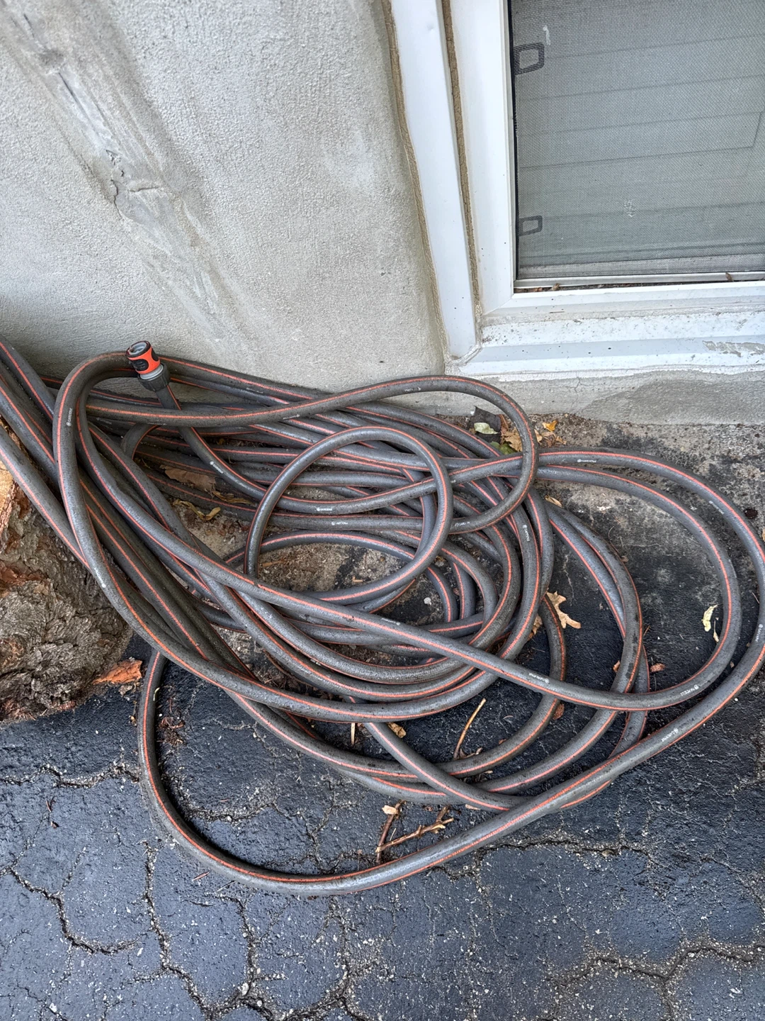 Garden Hose