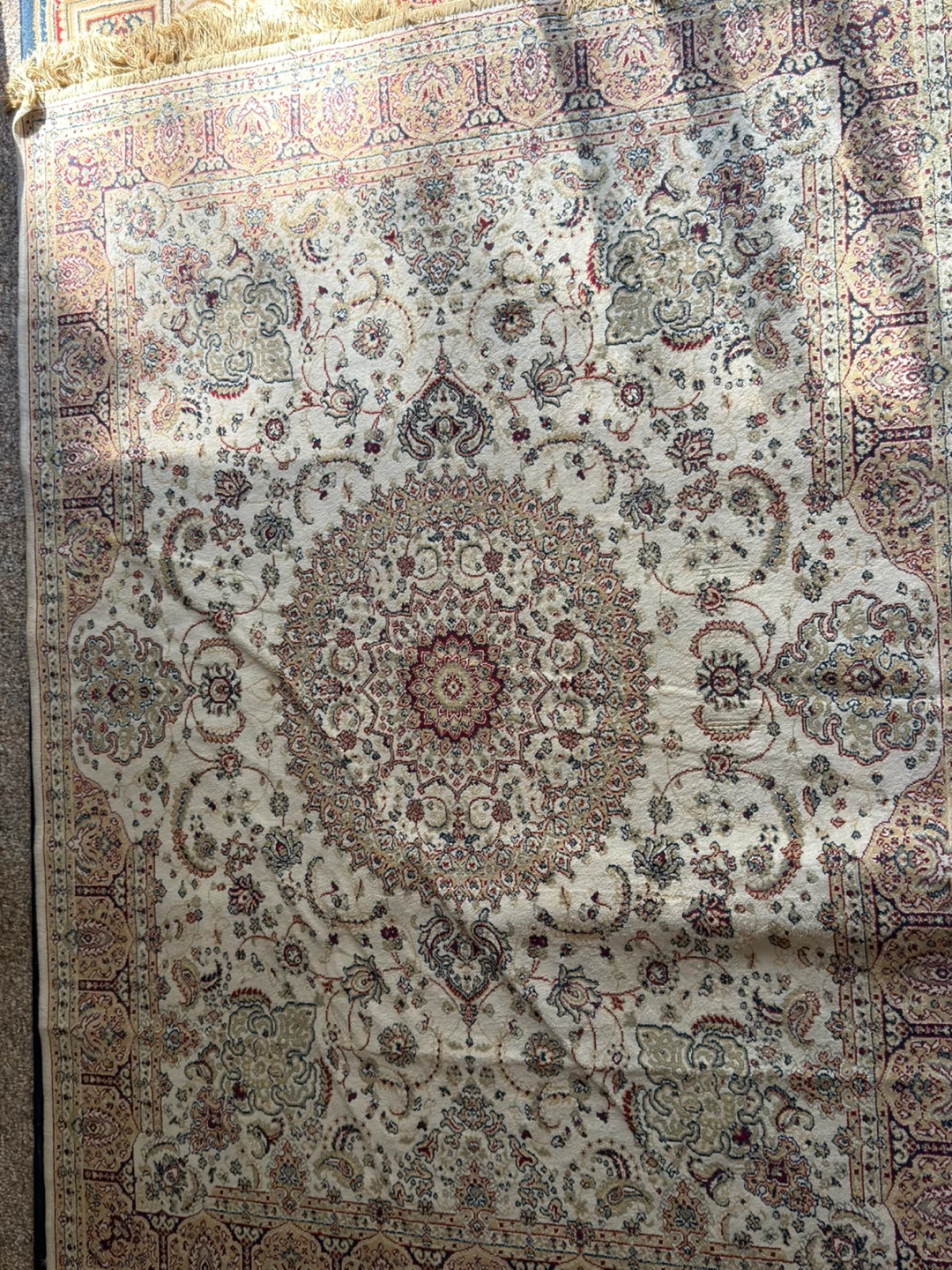 Persian Style Area Rug