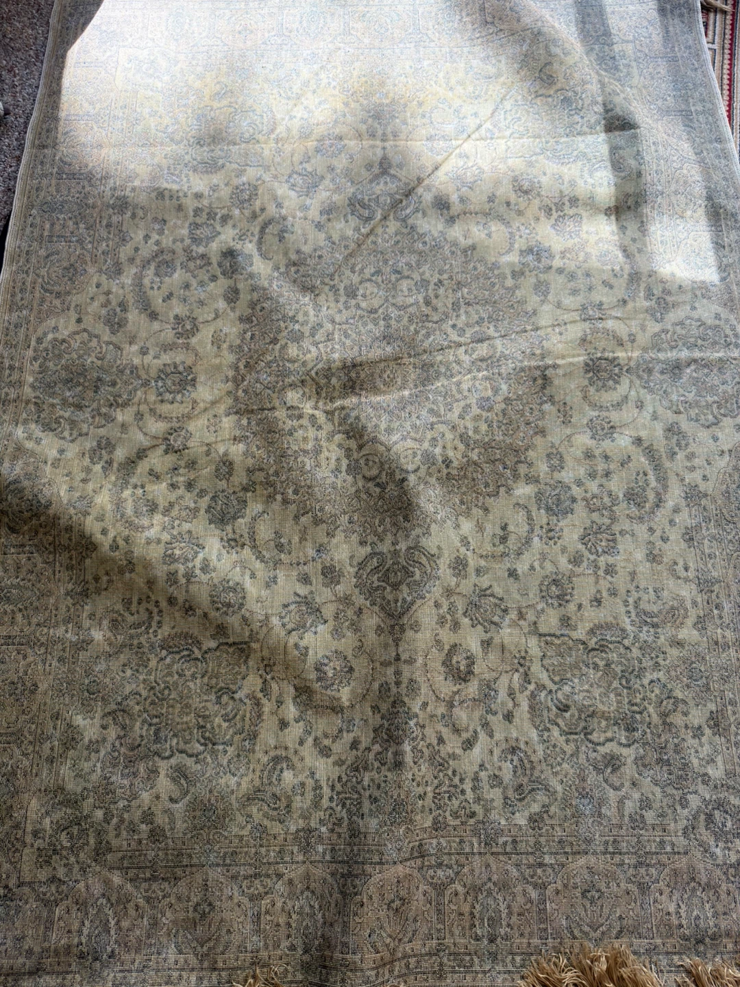 Persian Style Area Rug - photo 3