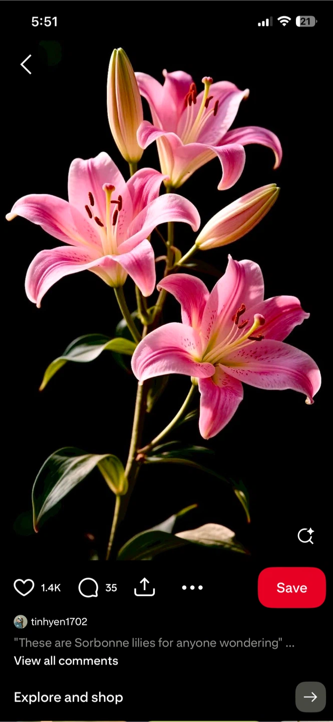 Crocheted Lilies