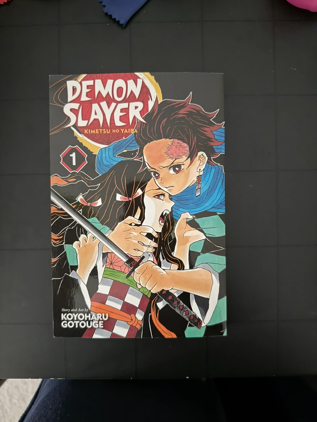 Demon Slayer Vol 1