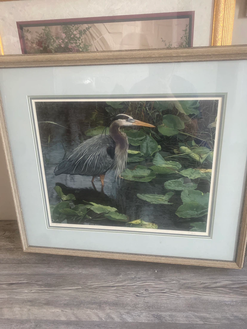 Framed Print of Heron and Lily Pads