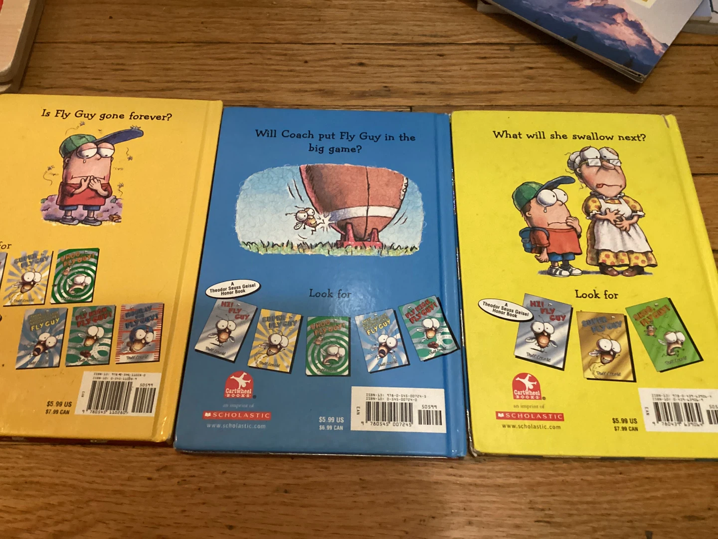 Fly Guy Books Lot by Tedd Arnold - photo 2
