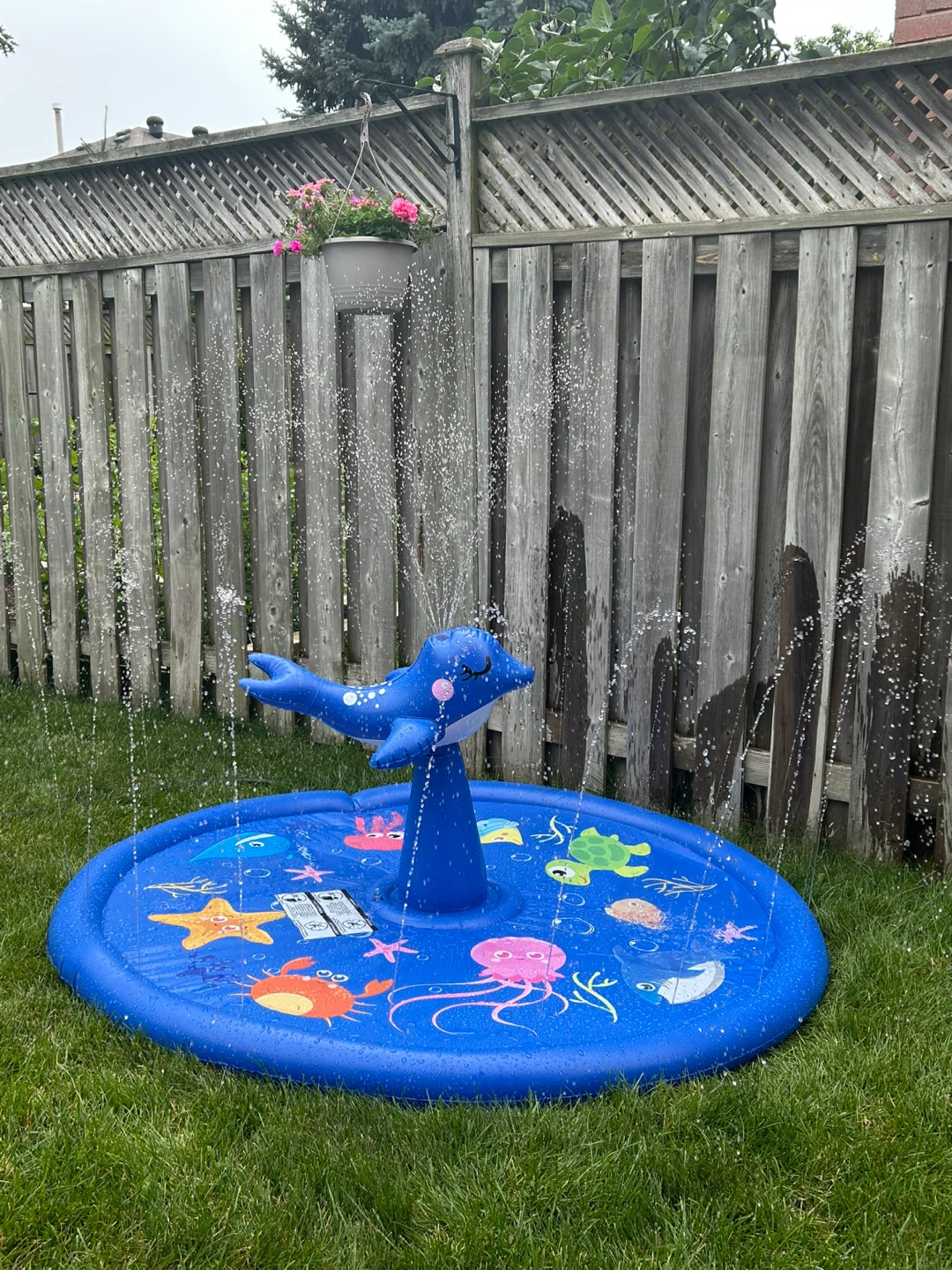 INFLATABLE DOLPHIN SPRINKLER (READ LISTING)
