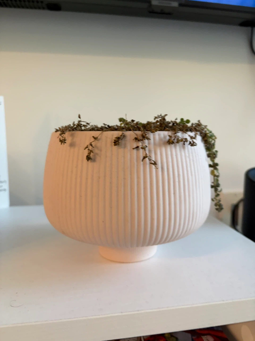 Pink ribbed planter pot