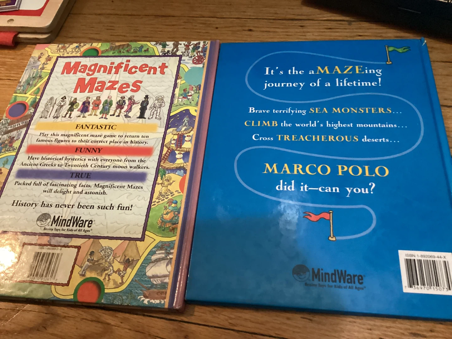 Magnificent Mazes & Marco Polo Maze Books by Anna Nilsen - photo 2