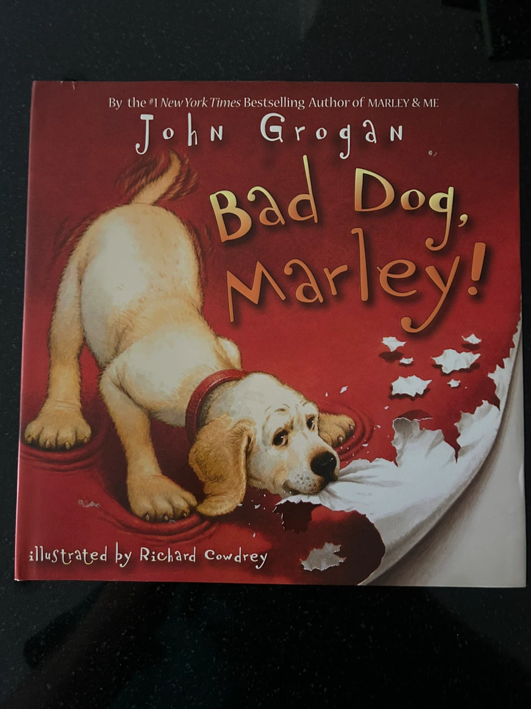 Bad Dog, Marley! by John Grogan Children's Book