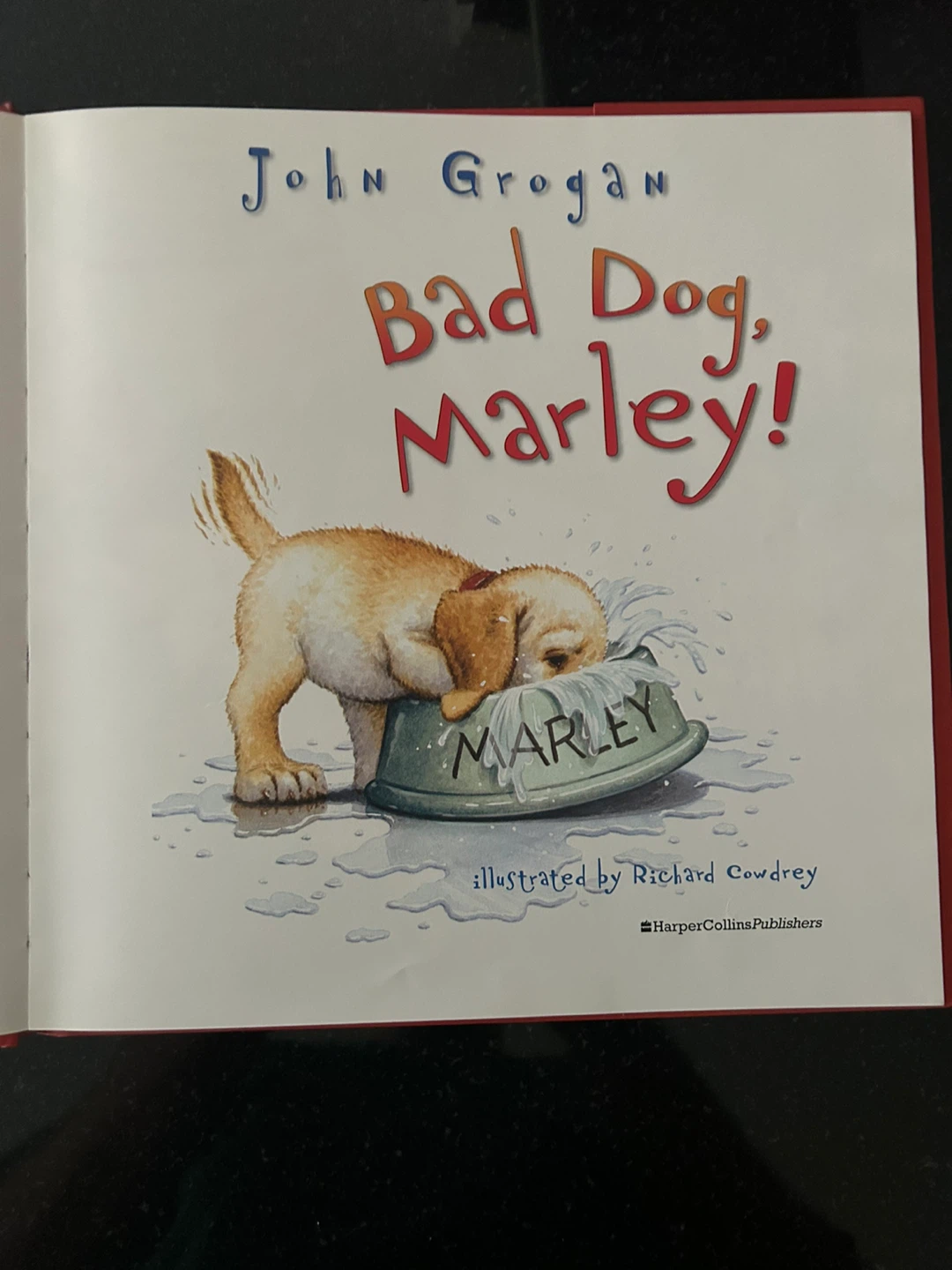 Bad Dog, Marley! by John Grogan Children's Book - photo 2
