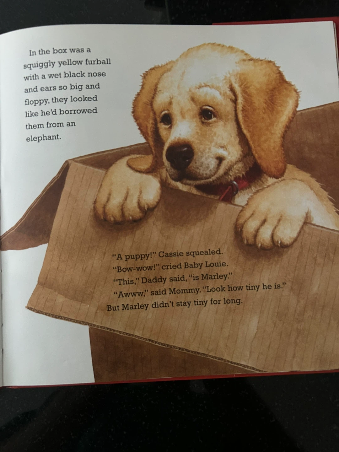 Bad Dog, Marley! by John Grogan Children's Book - photo 4