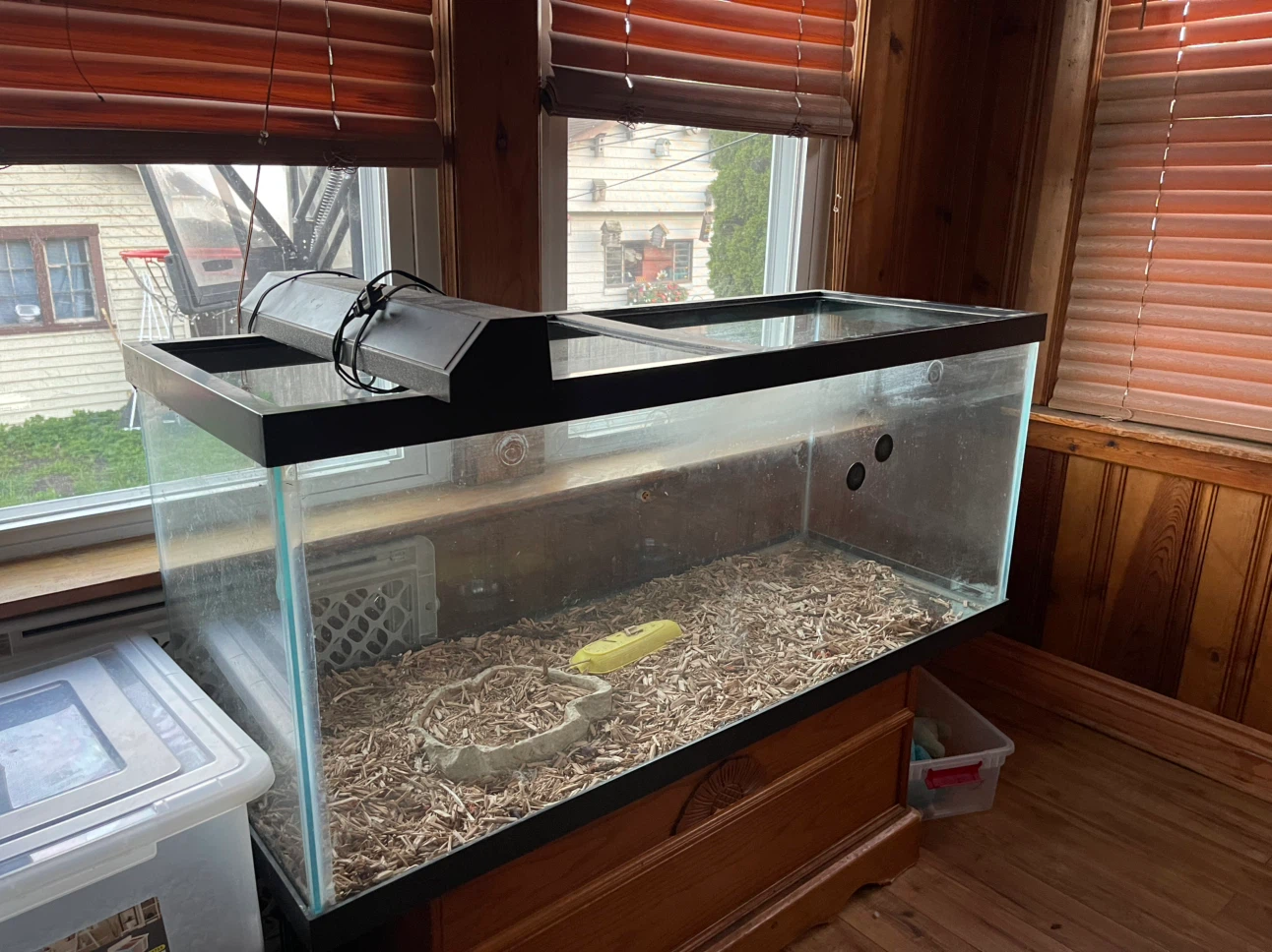 Large Glass Aquarium Tank with Hood