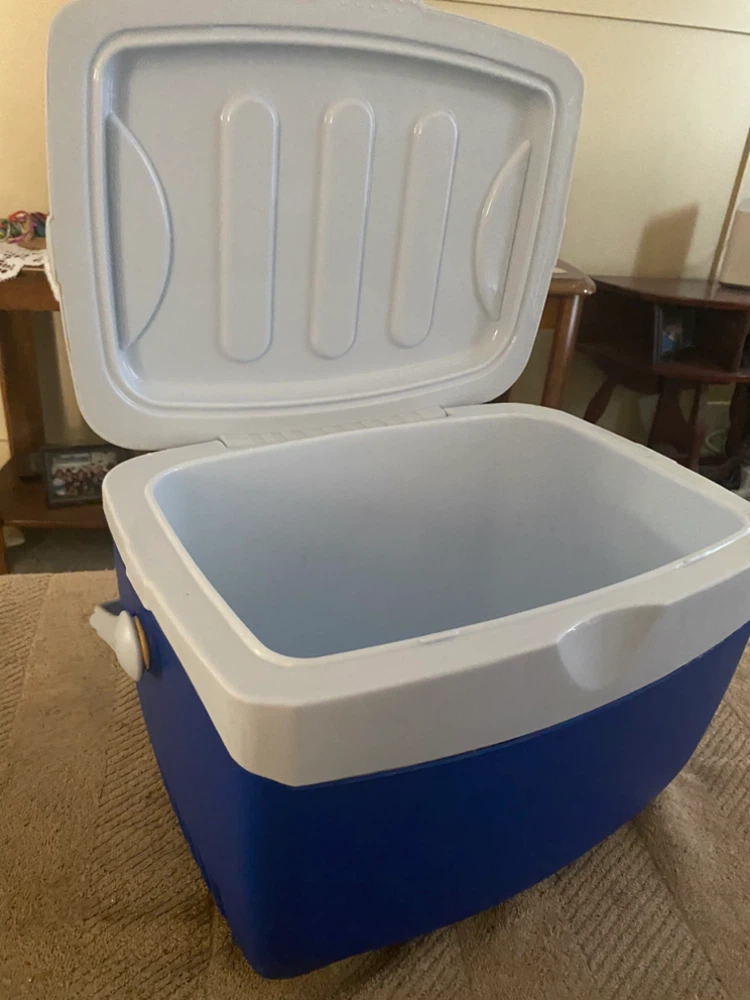 NEW…..HOLDS 16 CANS COLEMAN Cooler - photo 3