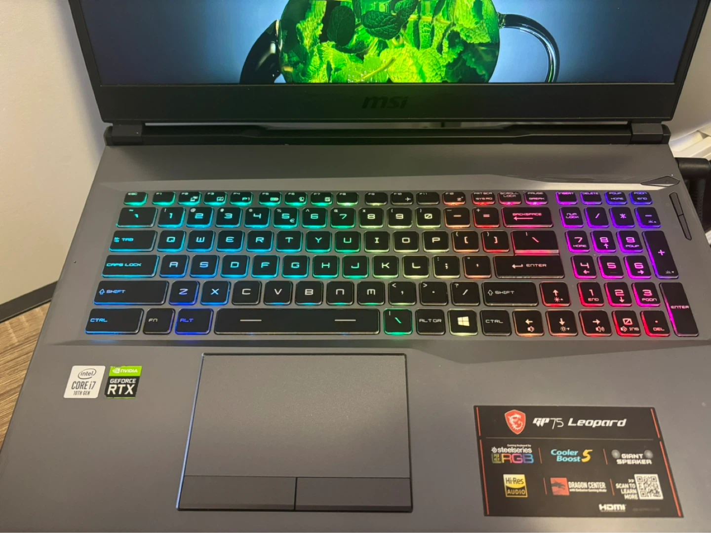 MSI GP75 Leopard Gaming Laptop