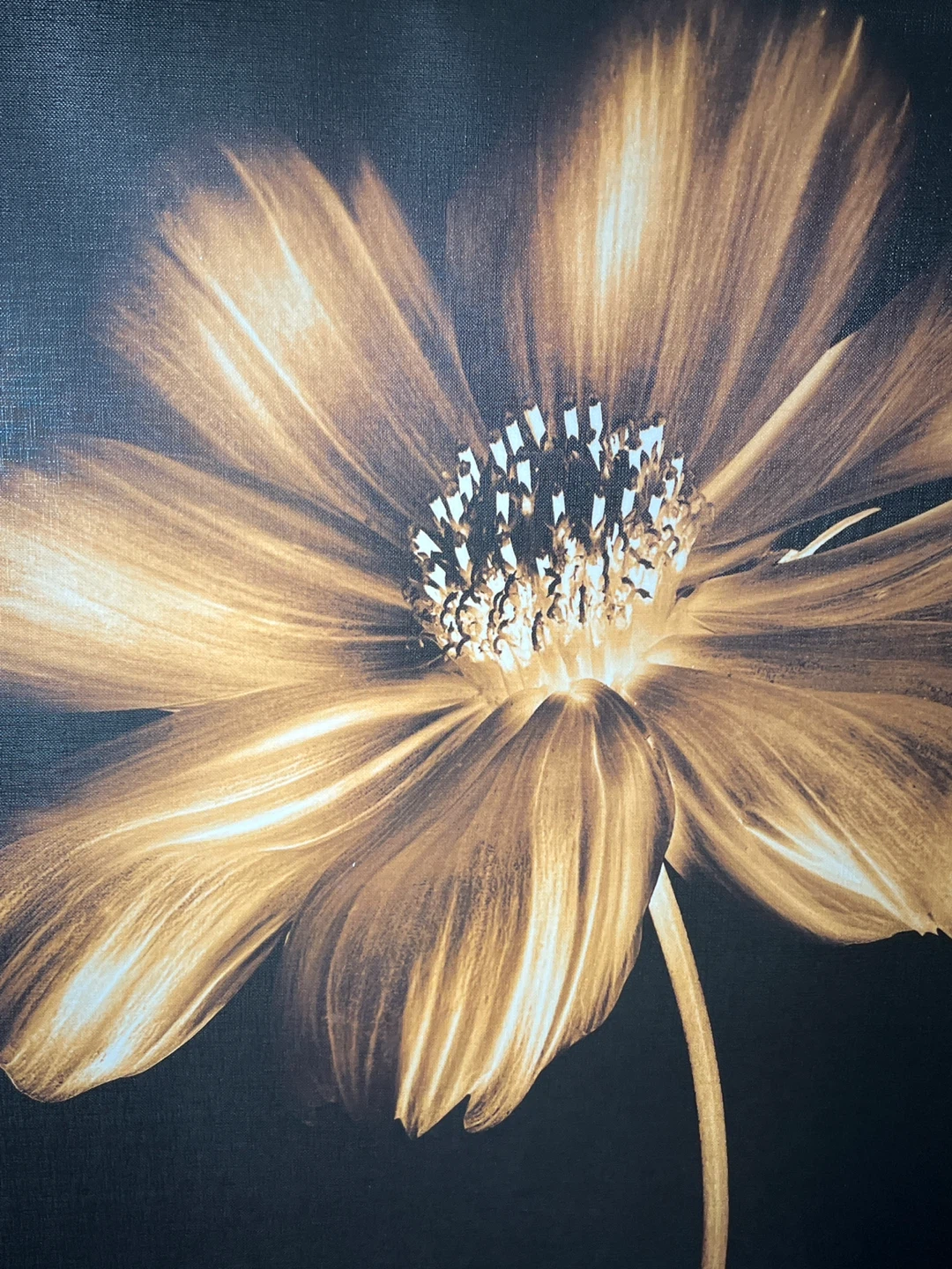 Large Bouclair 36x24 Canvas Wall Art - Gold & Black Floral - photo 2