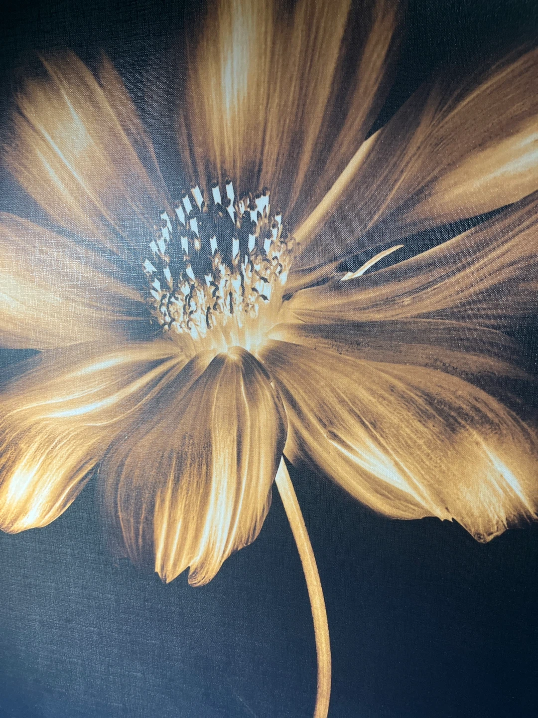 Large Bouclair 36x24 Canvas Wall Art - Gold & Black Floral - photo 3