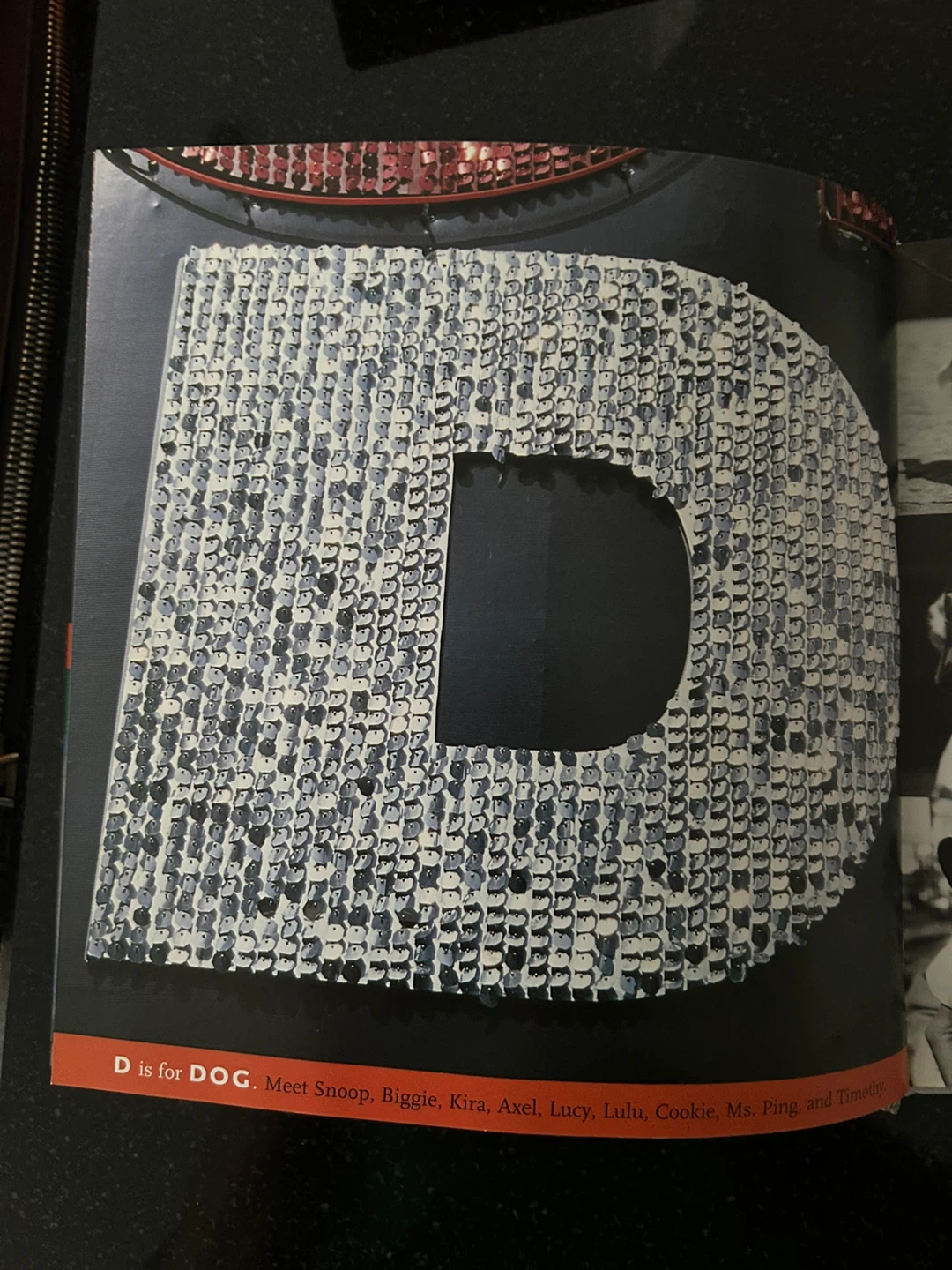 ABC NYC: A Book About Seeing New York City by Joanne Dugan - photo 4