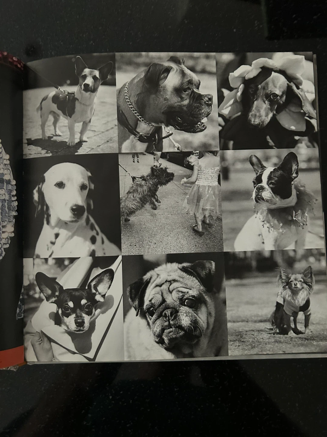 ABC NYC: A Book About Seeing New York City by Joanne Dugan - photo 5