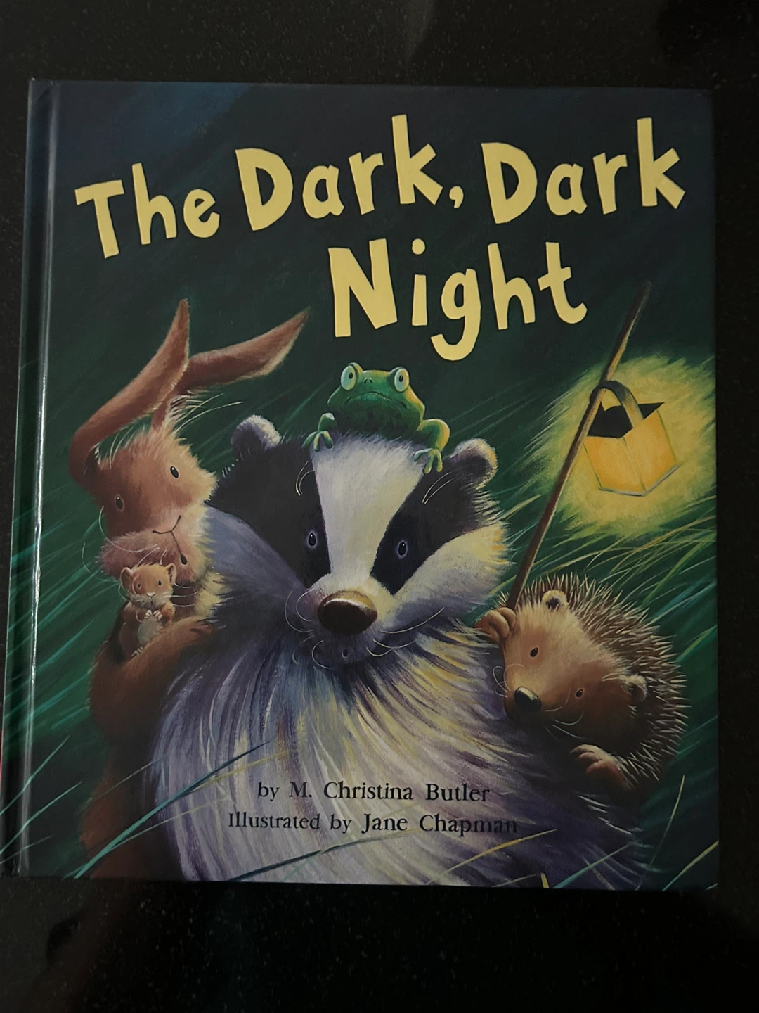 The Dark, Dark Night Children's Book
