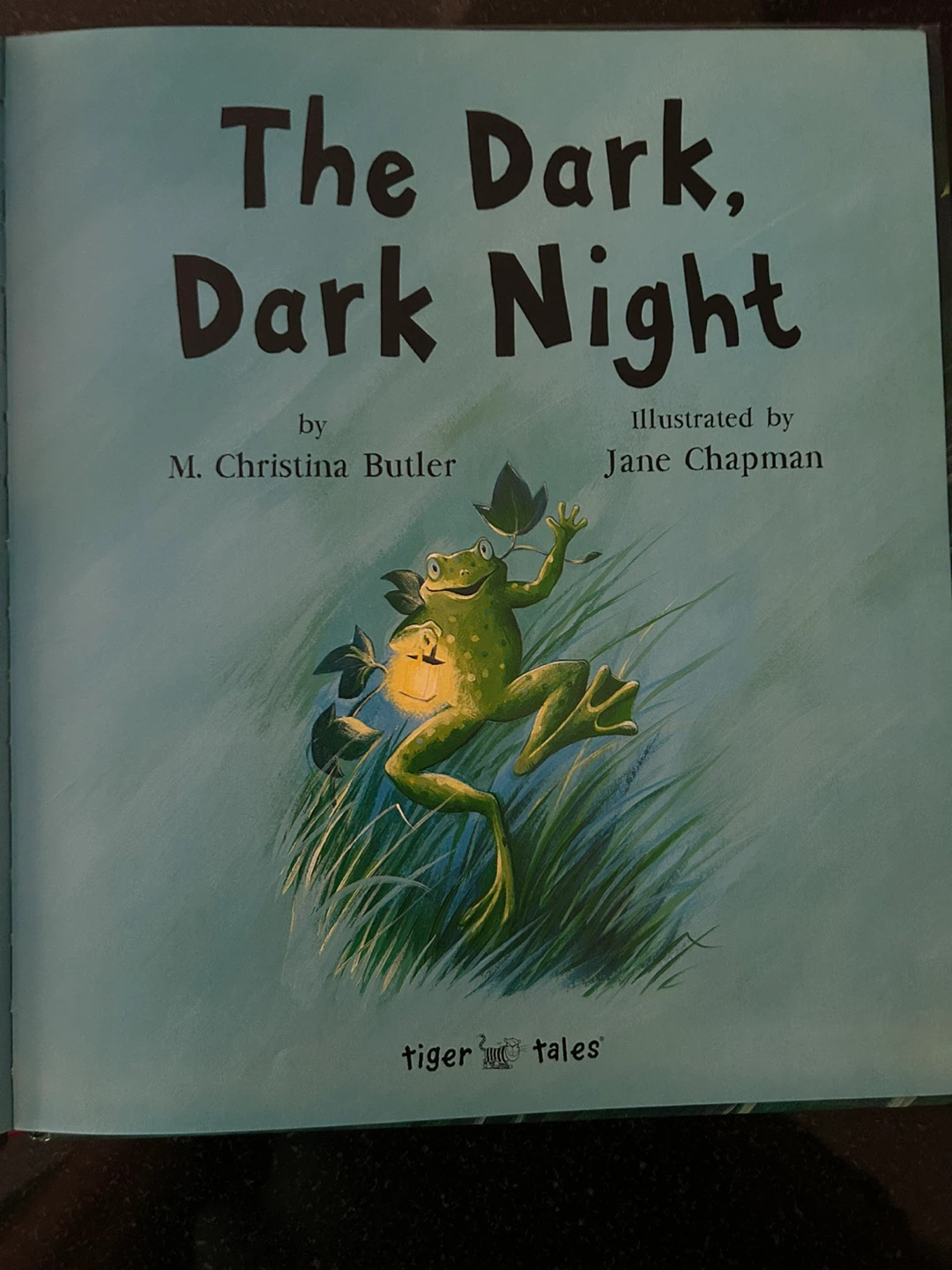 The Dark, Dark Night Children's Book - photo 2