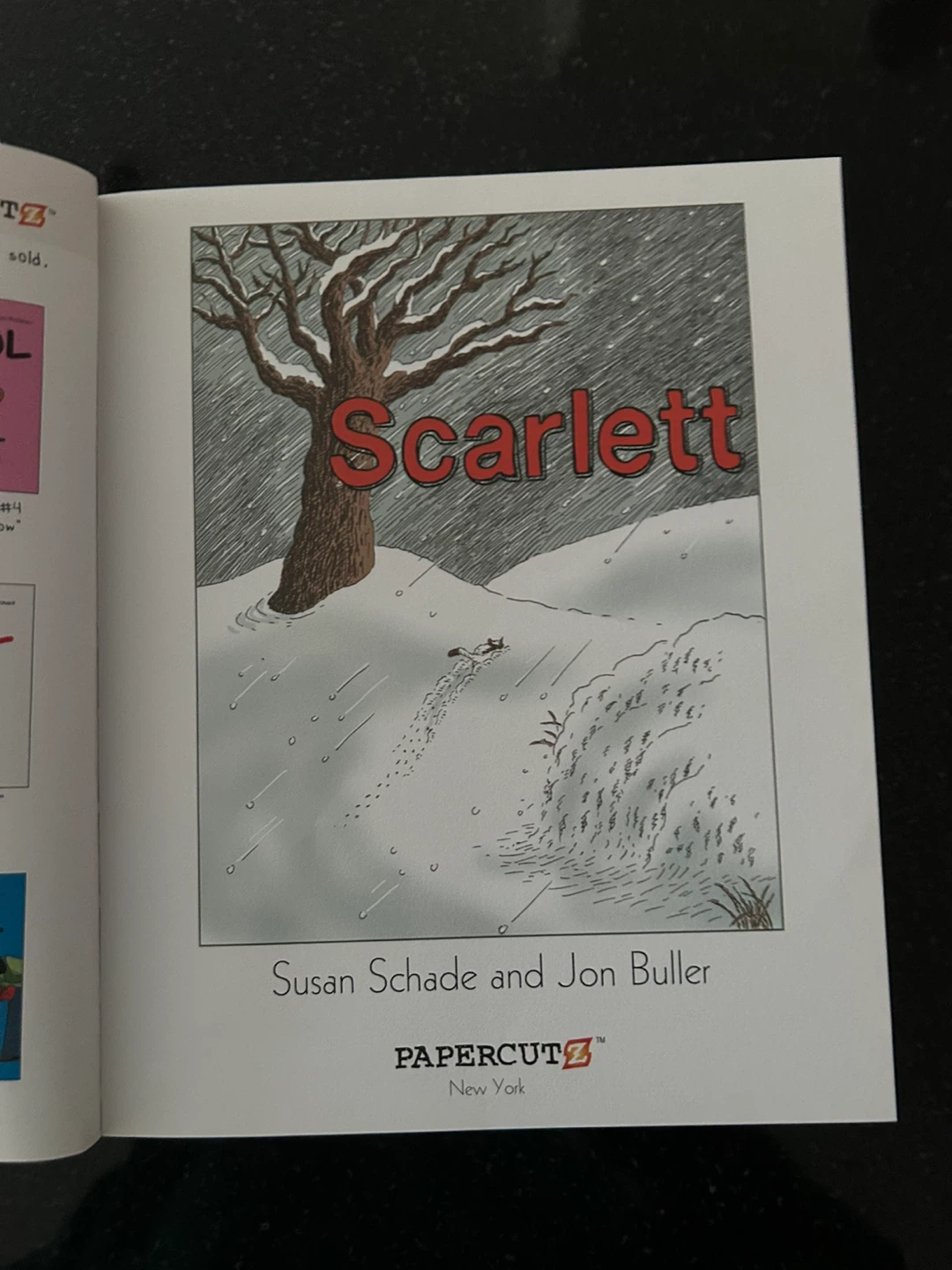 Scarlett Star on the Run Graphic Novel - photo 2