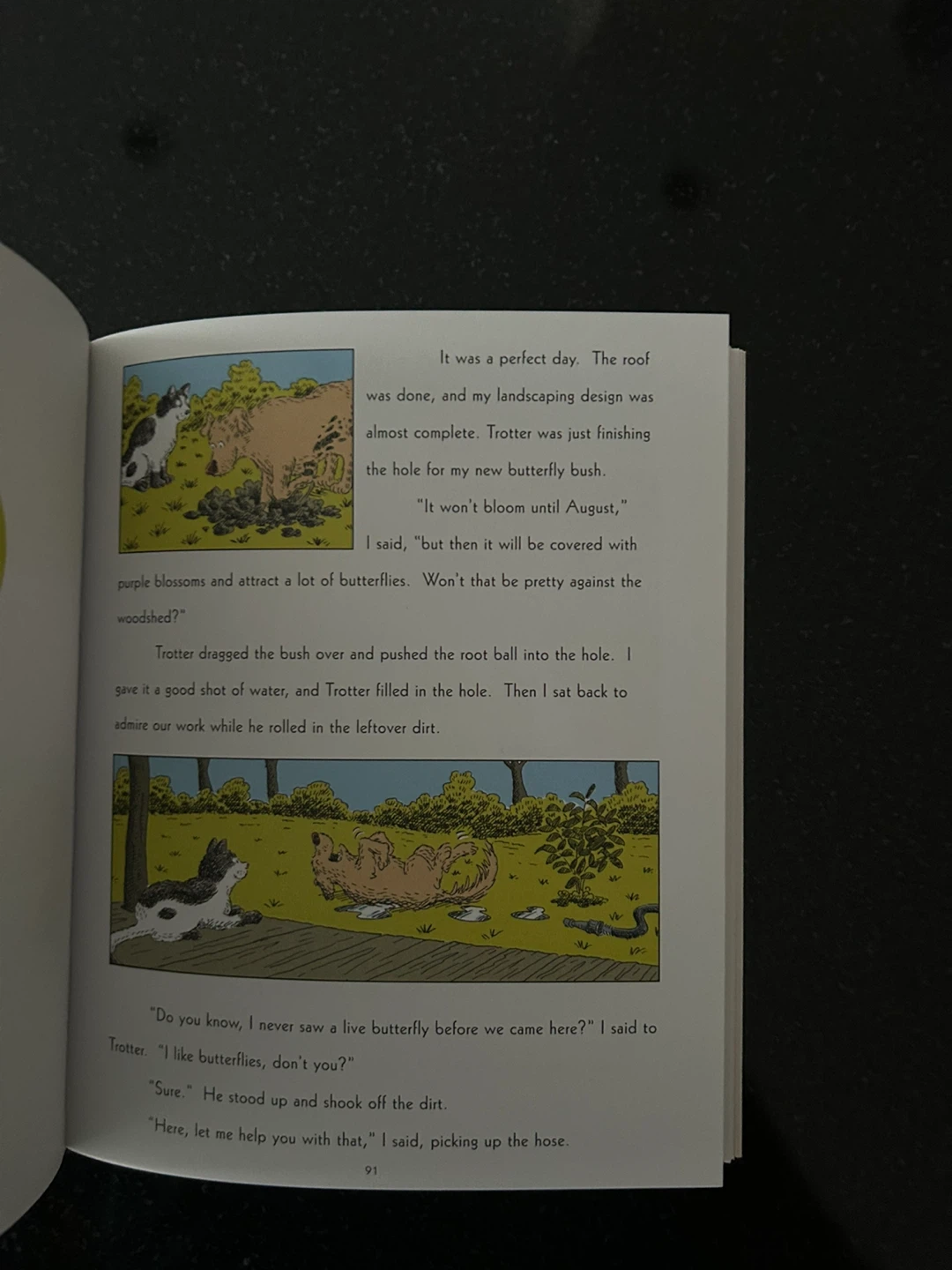 Scarlett Star on the Run Graphic Novel - photo 4