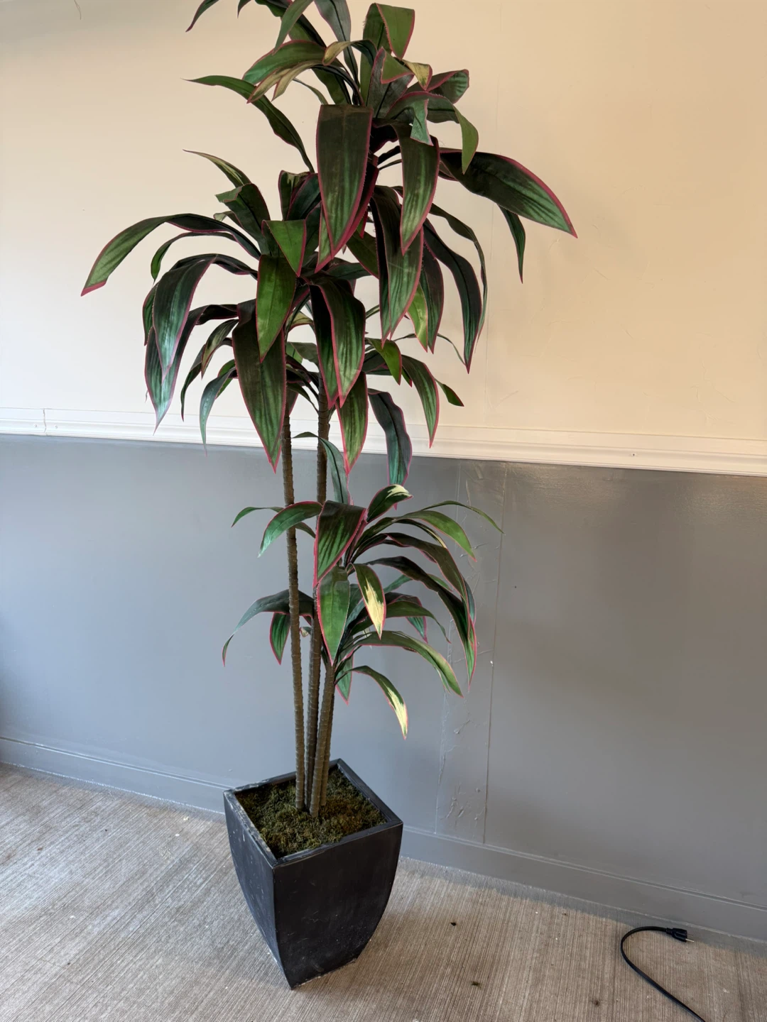 Tall Faux Plant in Black Pot - photo 2
