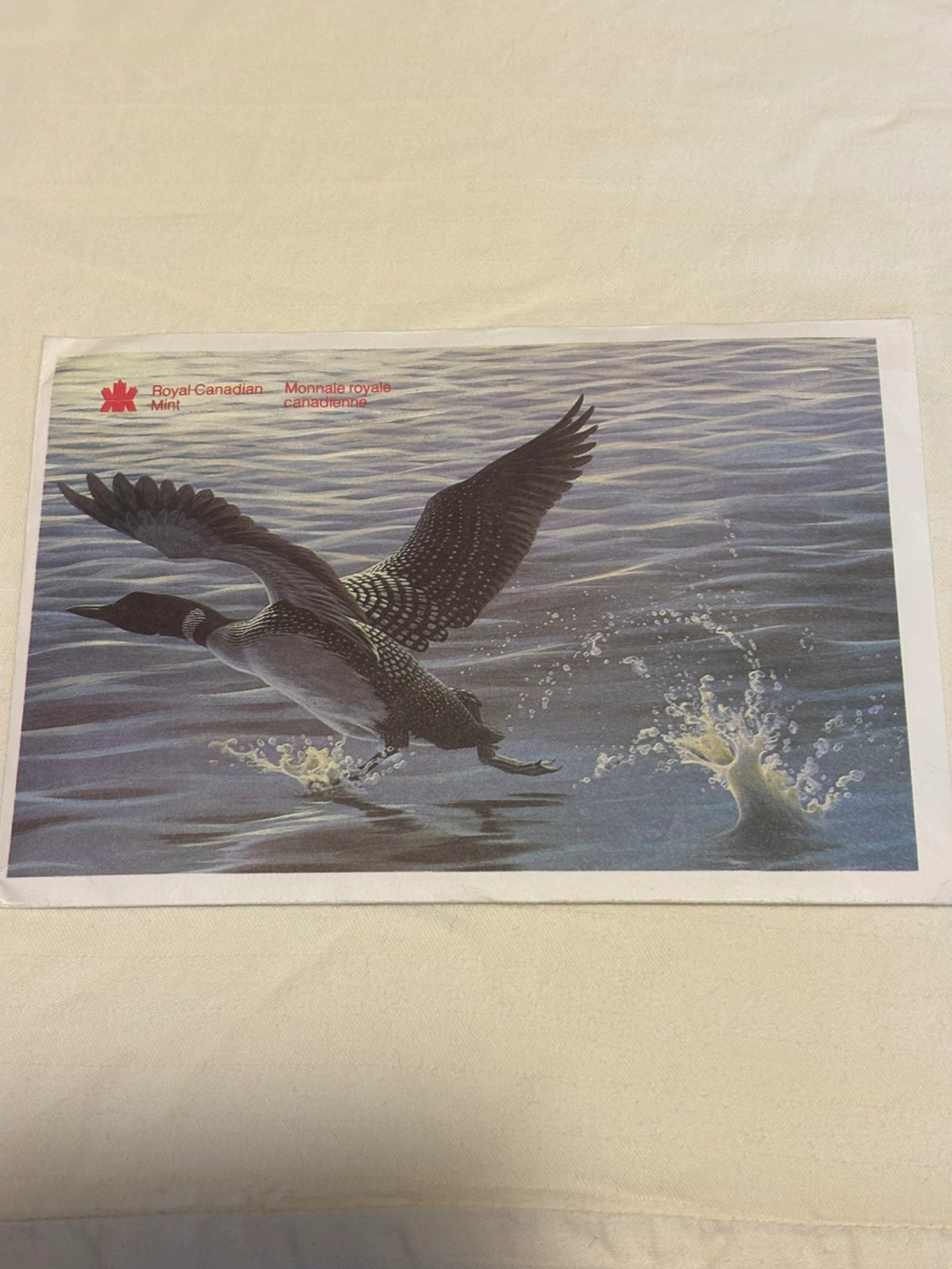1991 Canadian Mint Coin Set - photo 4