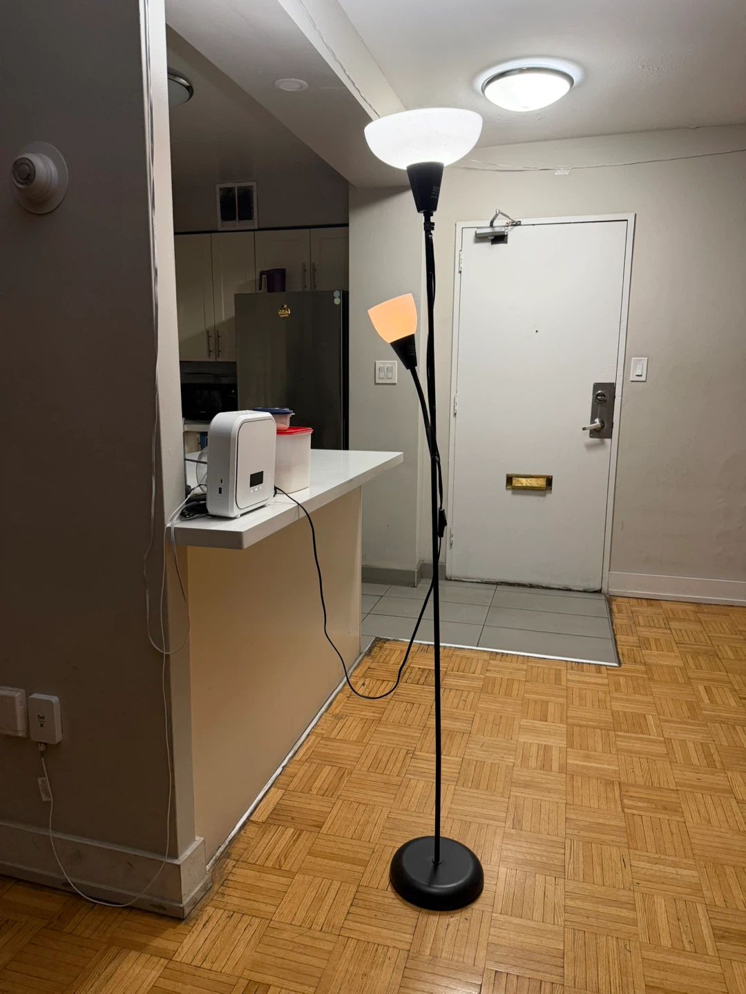 Black Floor Lamp with Two Lights
