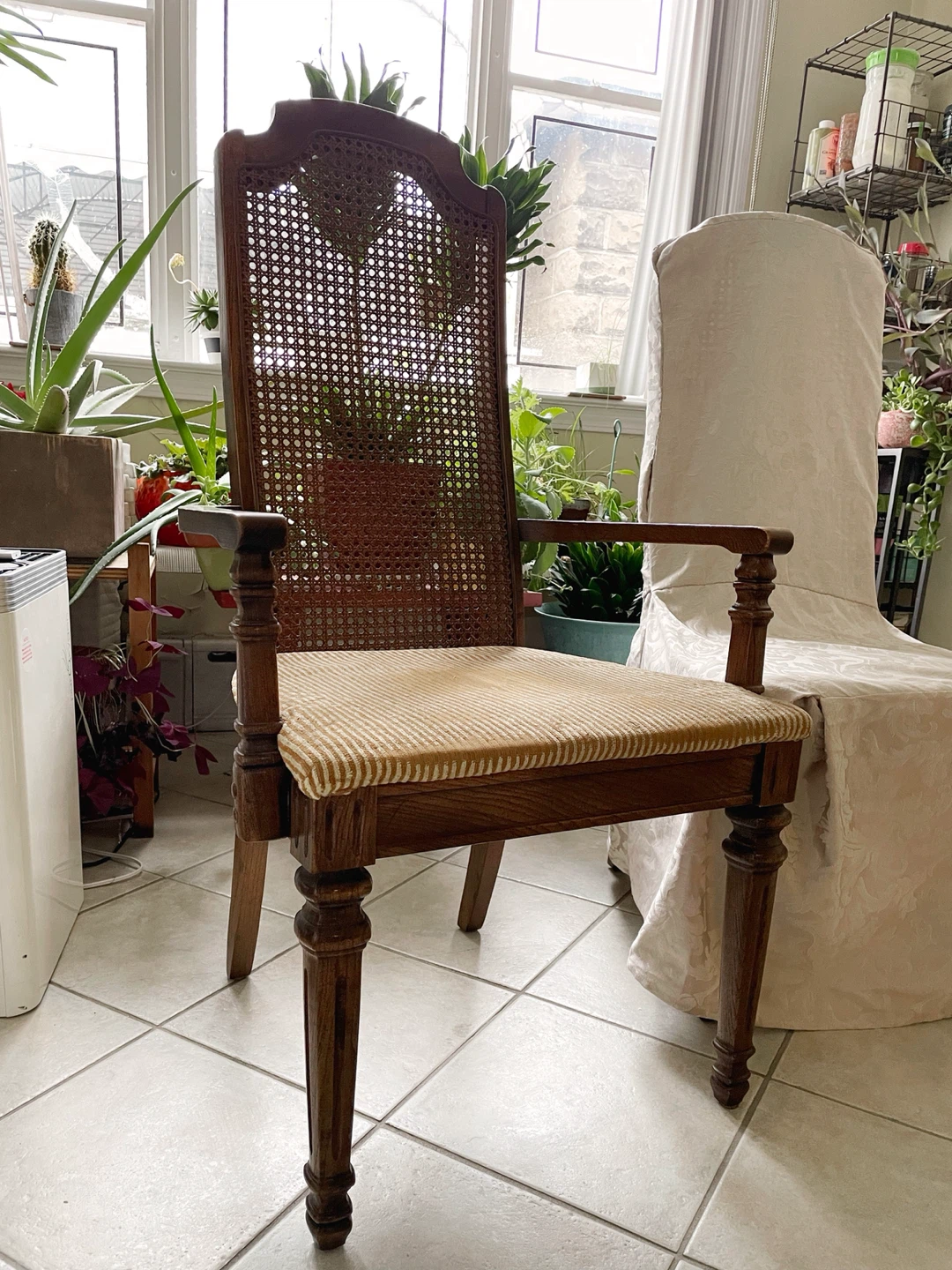 Set of 8 Vintage Dining Chairs - photo 5