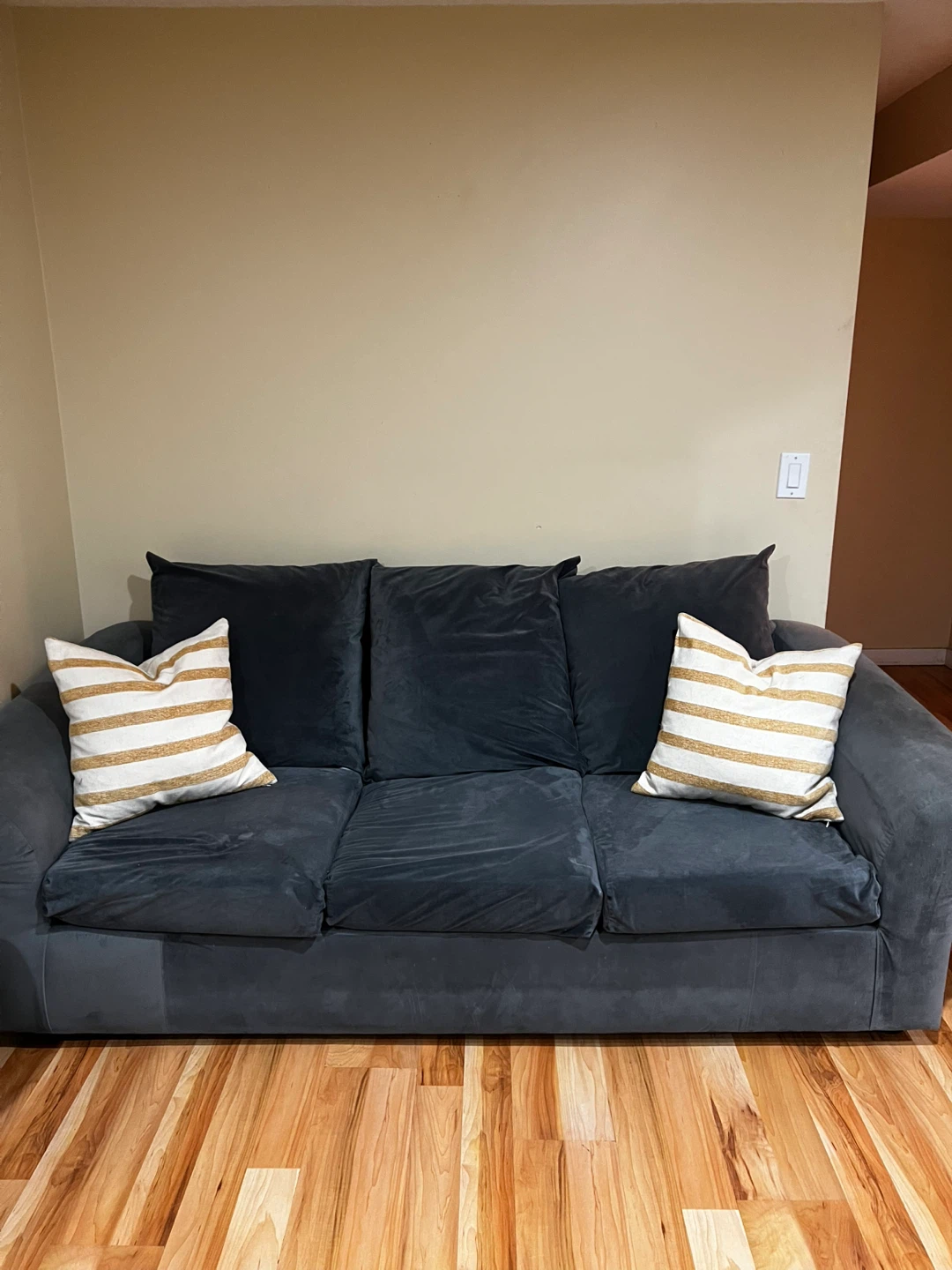 FREE COUCH DELIVERY AVAILABLE - photo 2