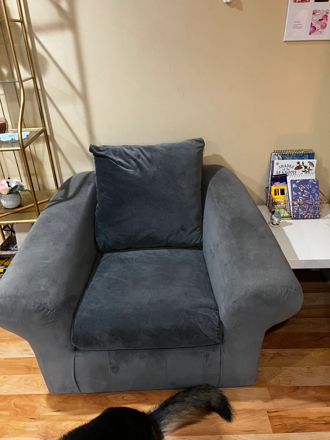 FREE COUCH DELIVERY AVAILABLE - photo 3