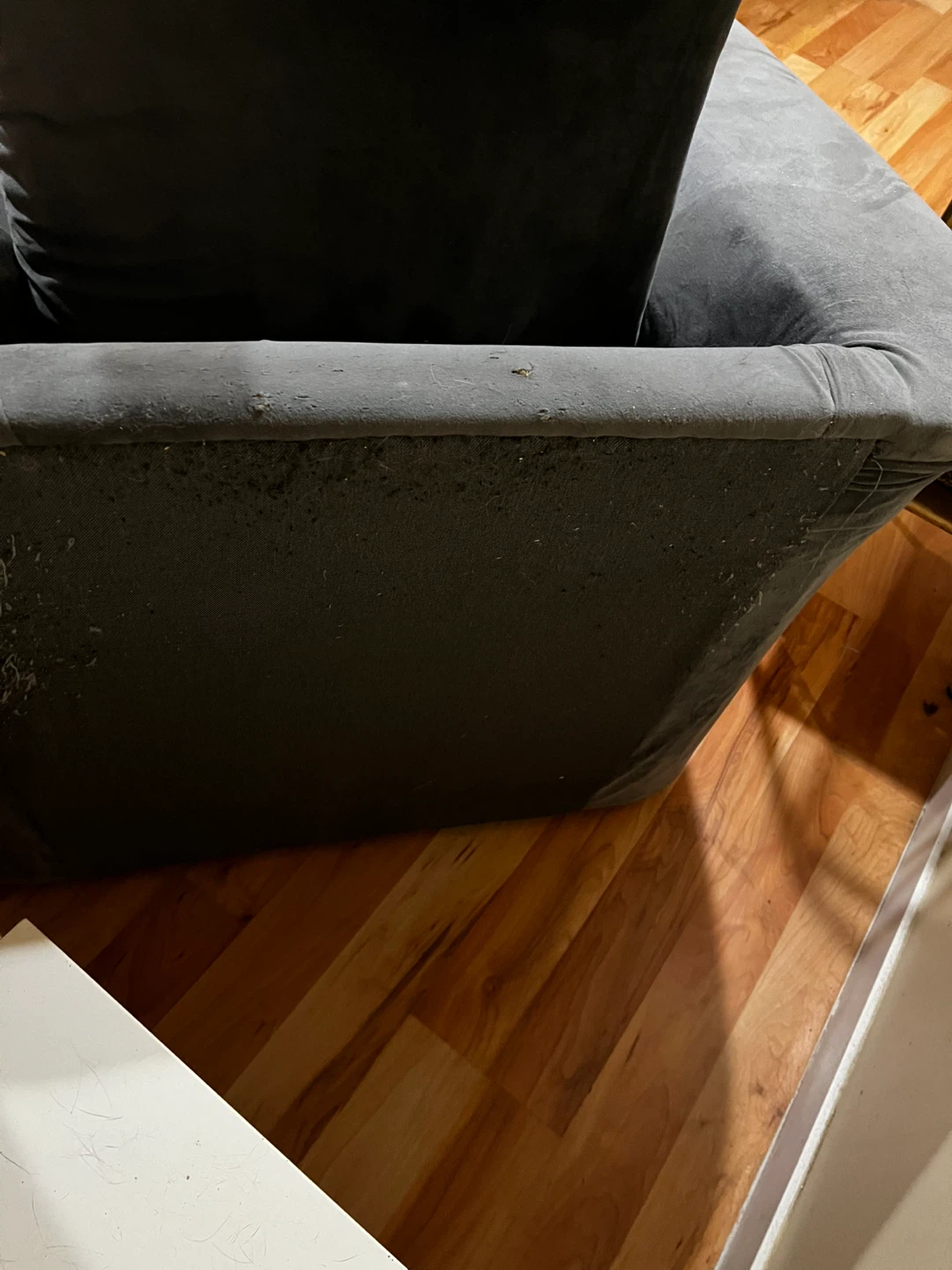 FREE COUCH DELIVERY AVAILABLE - photo 4
