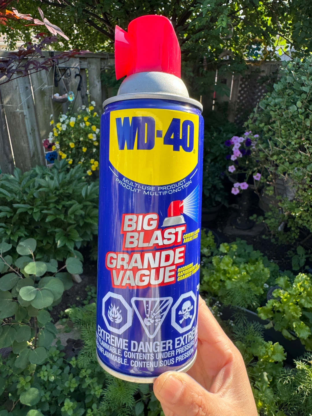 WD-40 Big Blast Lubricant