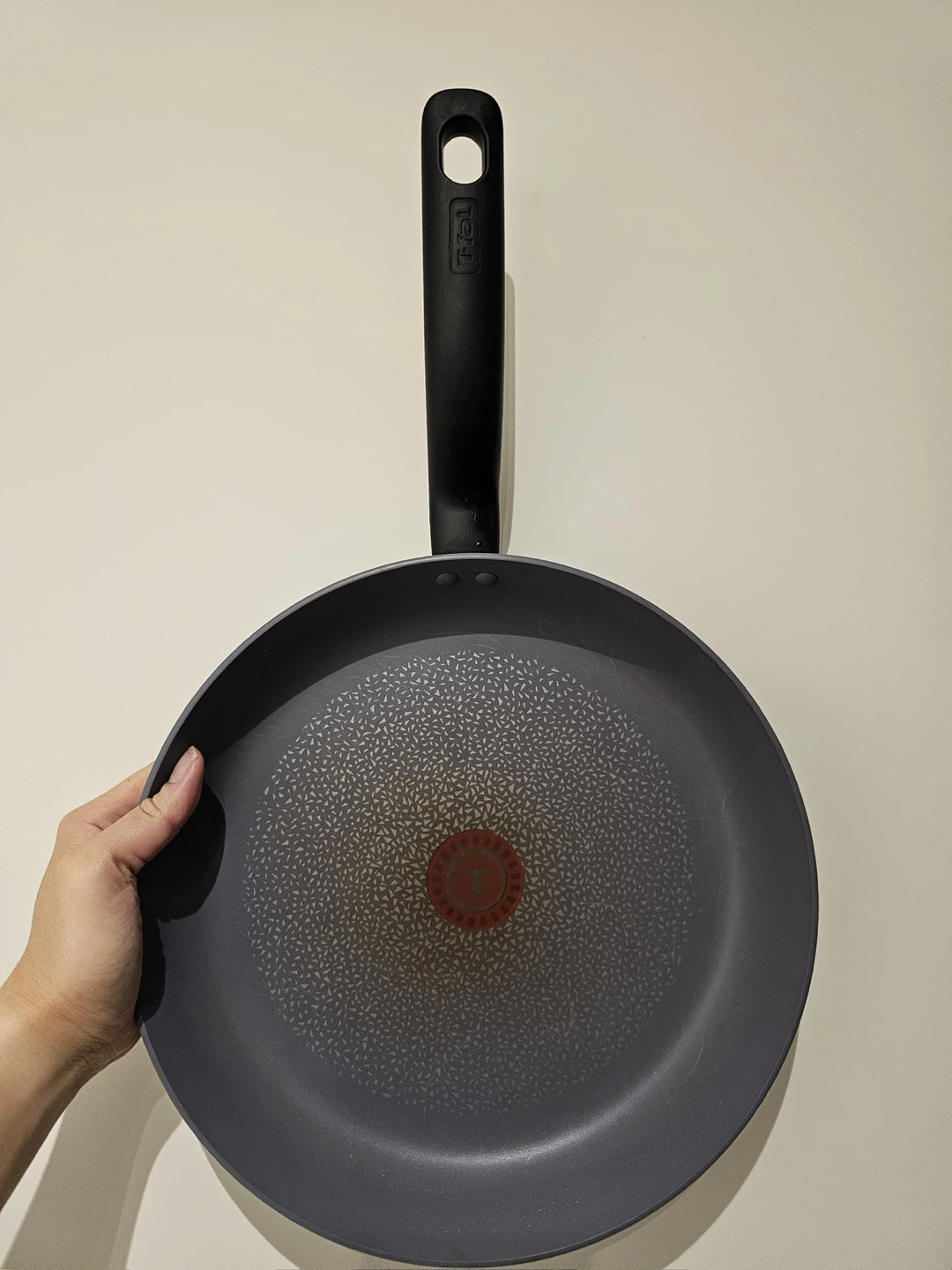 T-fal Frying Pan