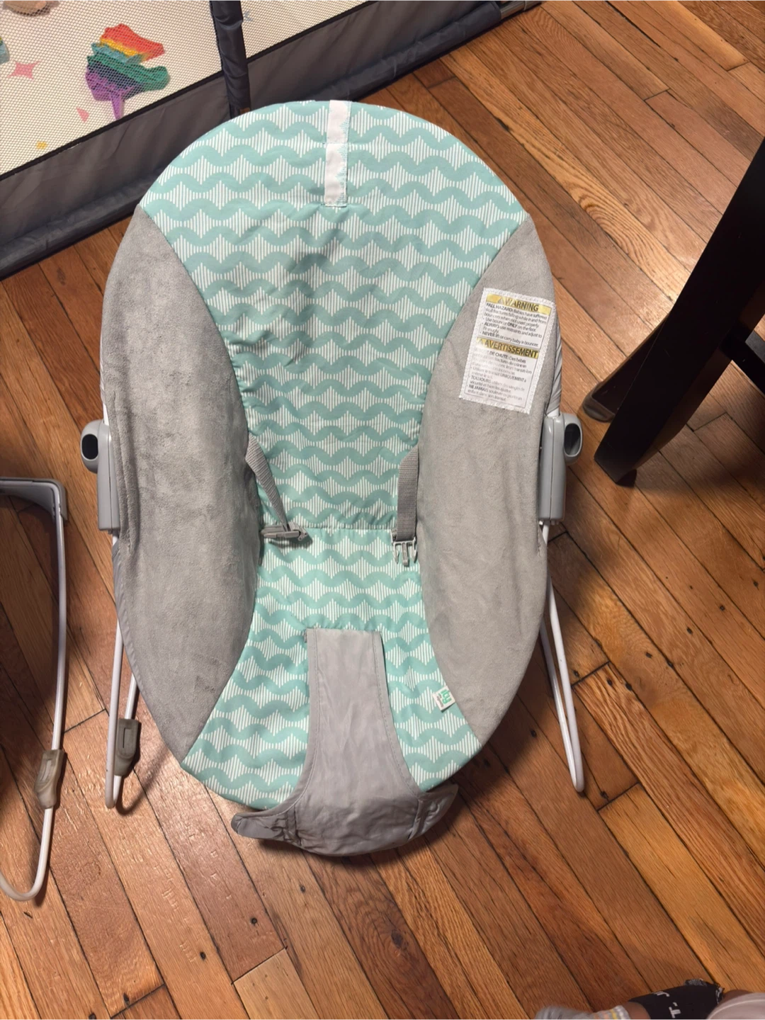 Bright Starts Baby Bouncer Seat - photo 2