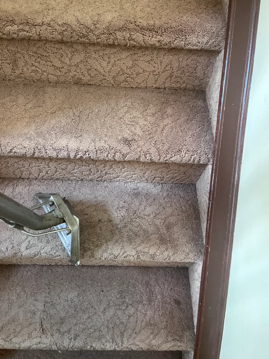 Professional Carpet cleaning Services - photo 3