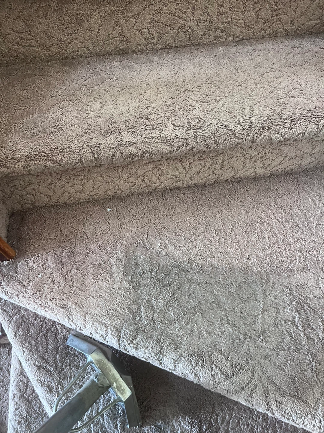 Professional Carpet cleaning Services - photo 4