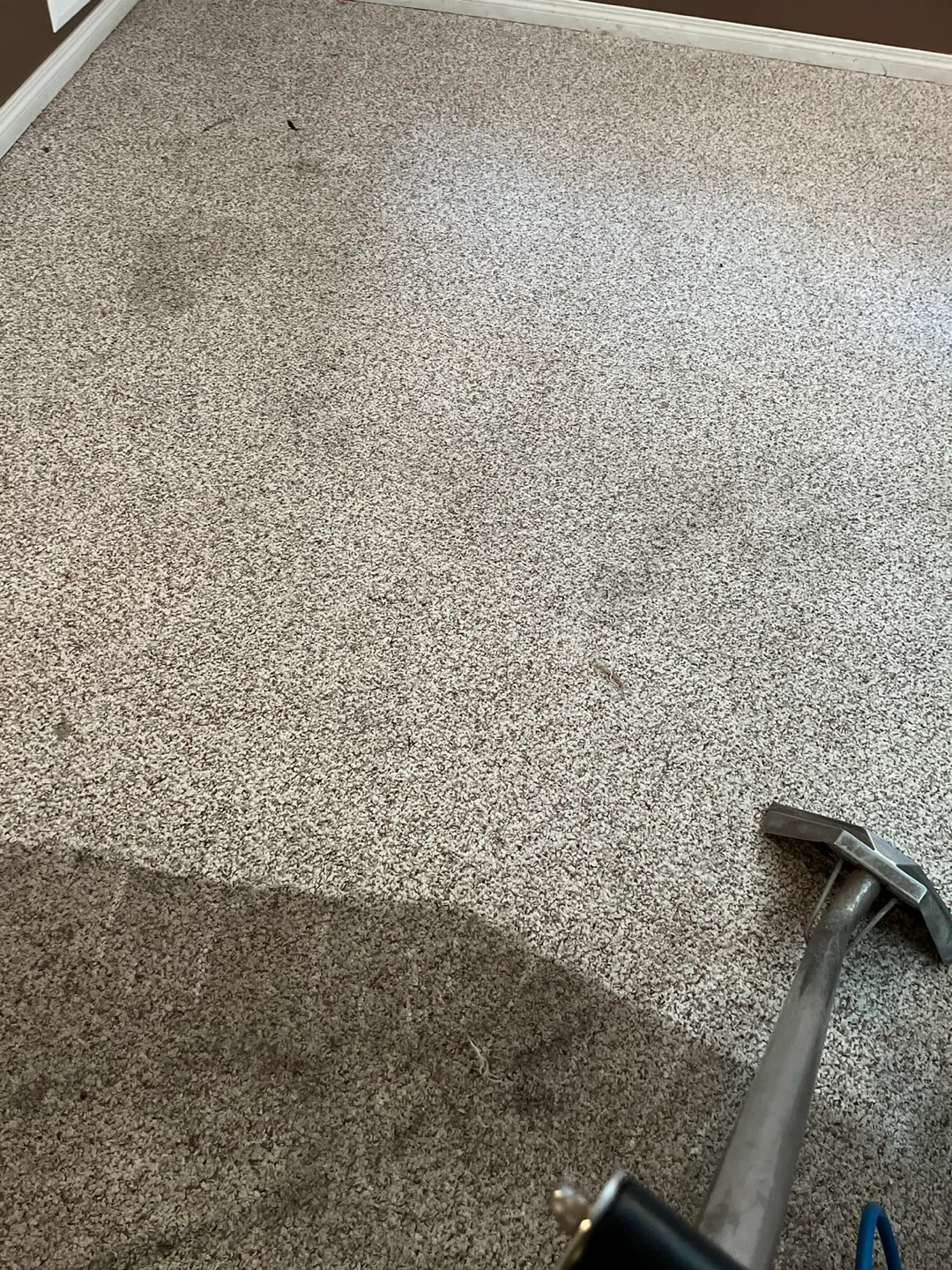 Move in - Move out Deals Carpet Cleaning - photo 5