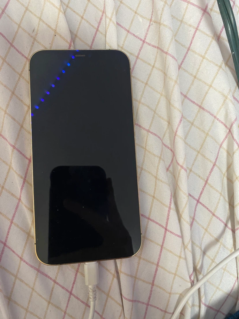 Apple iPhone 12 Pro Max - photo 2