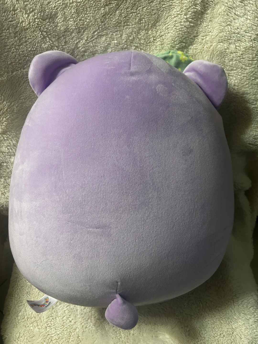20” Squishmallows Silvy Purple Bear Plush Toy - photo 3