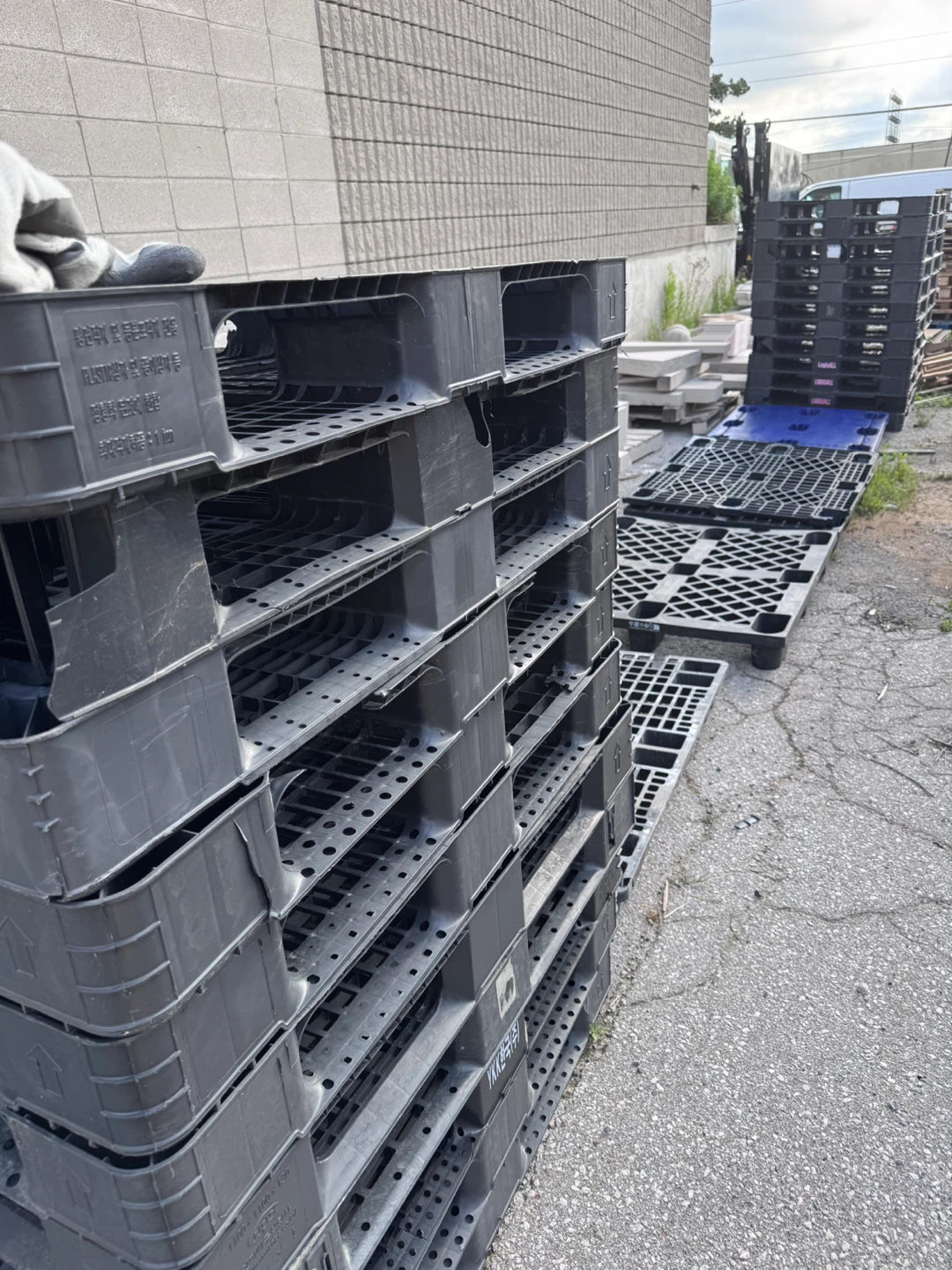 Plastic Pallets for free