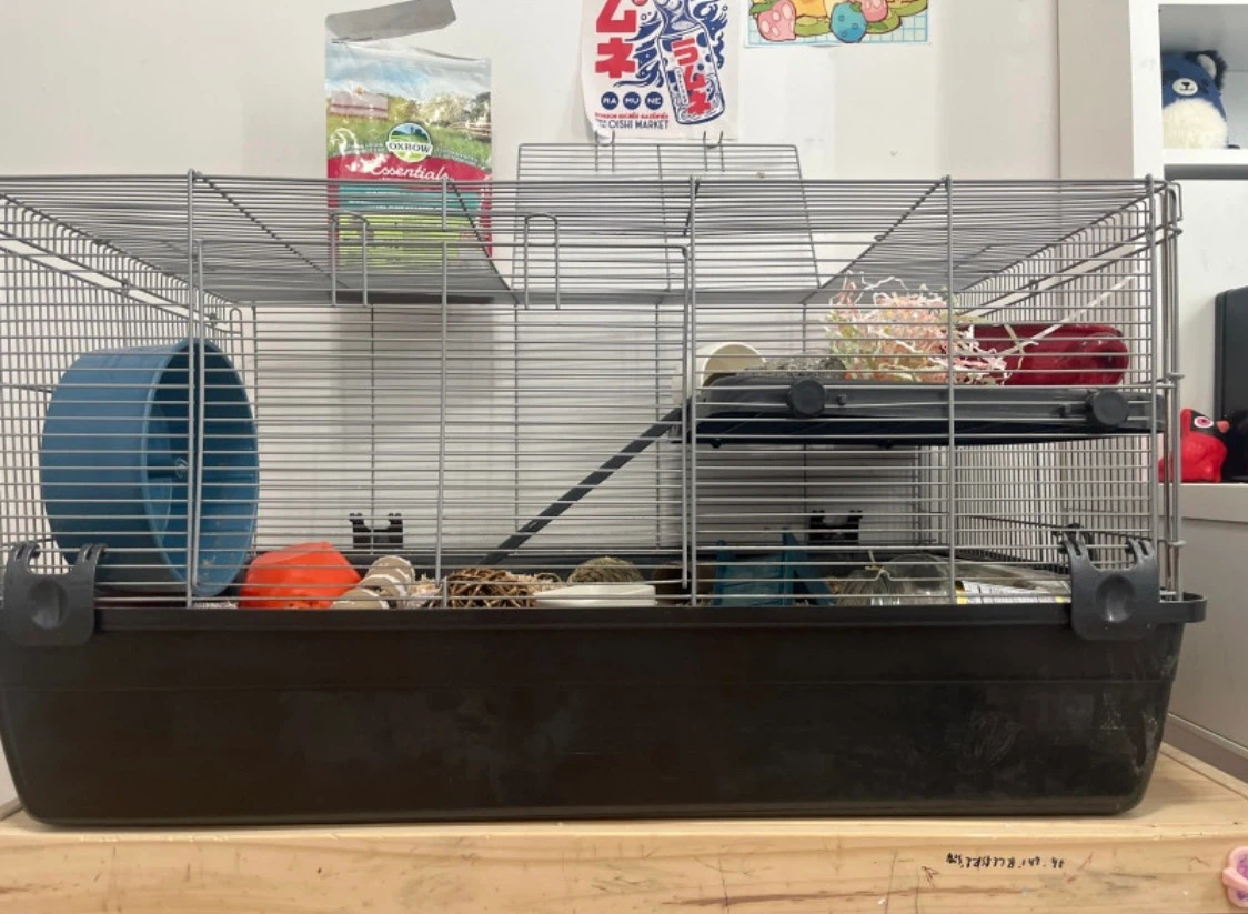 Small Animal Cage with Accessories