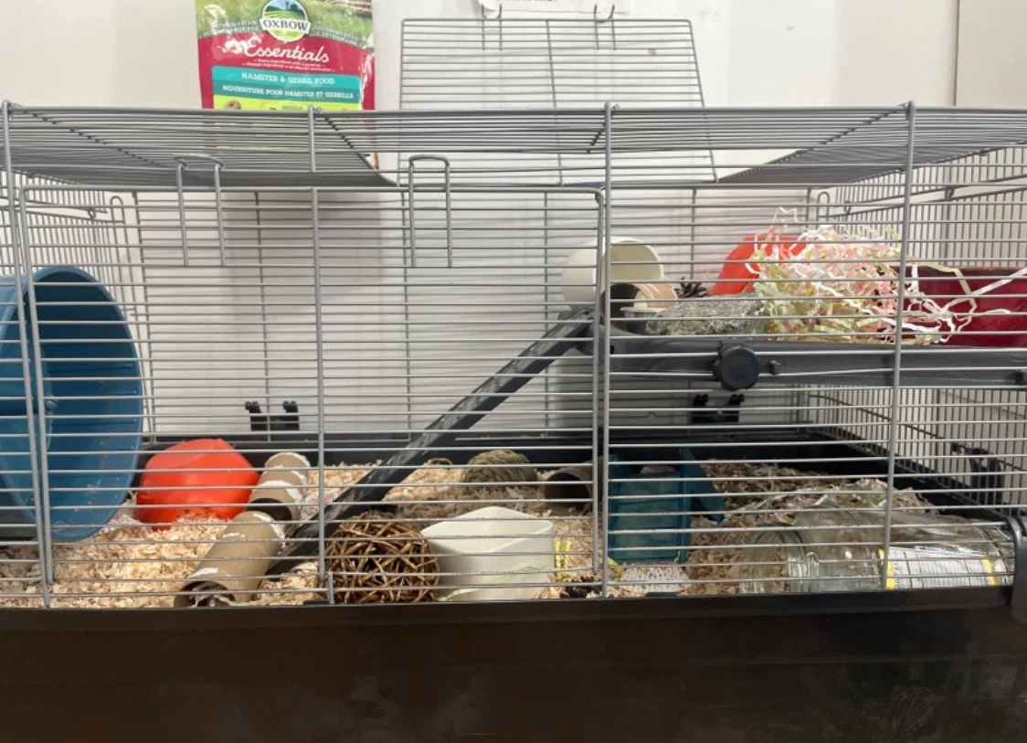 Small Animal Cage with Accessories - photo 2