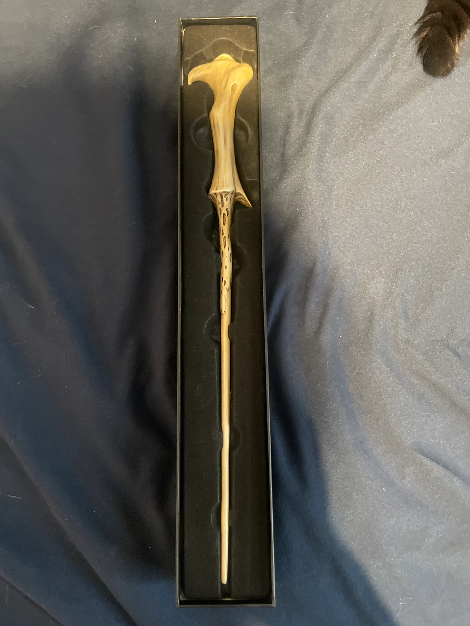 Voldemort Wand with Box